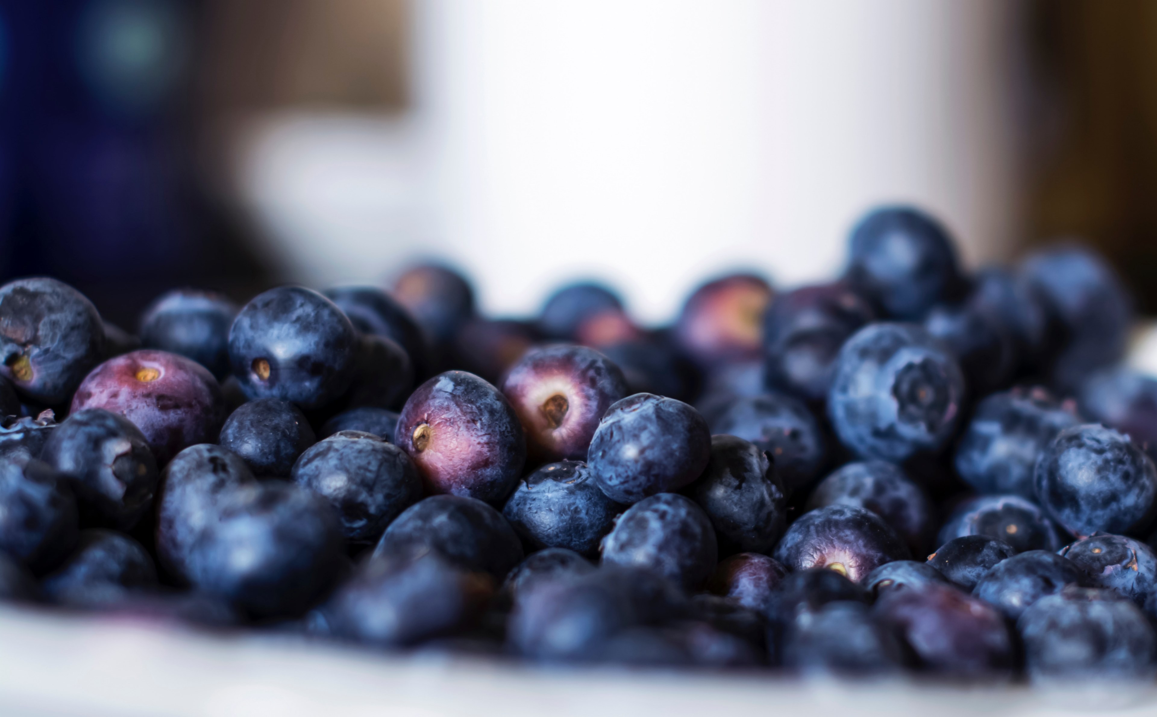 close up of a large amount of blueberries in a bowl, fresh fruit 4k, HD Wallpaper