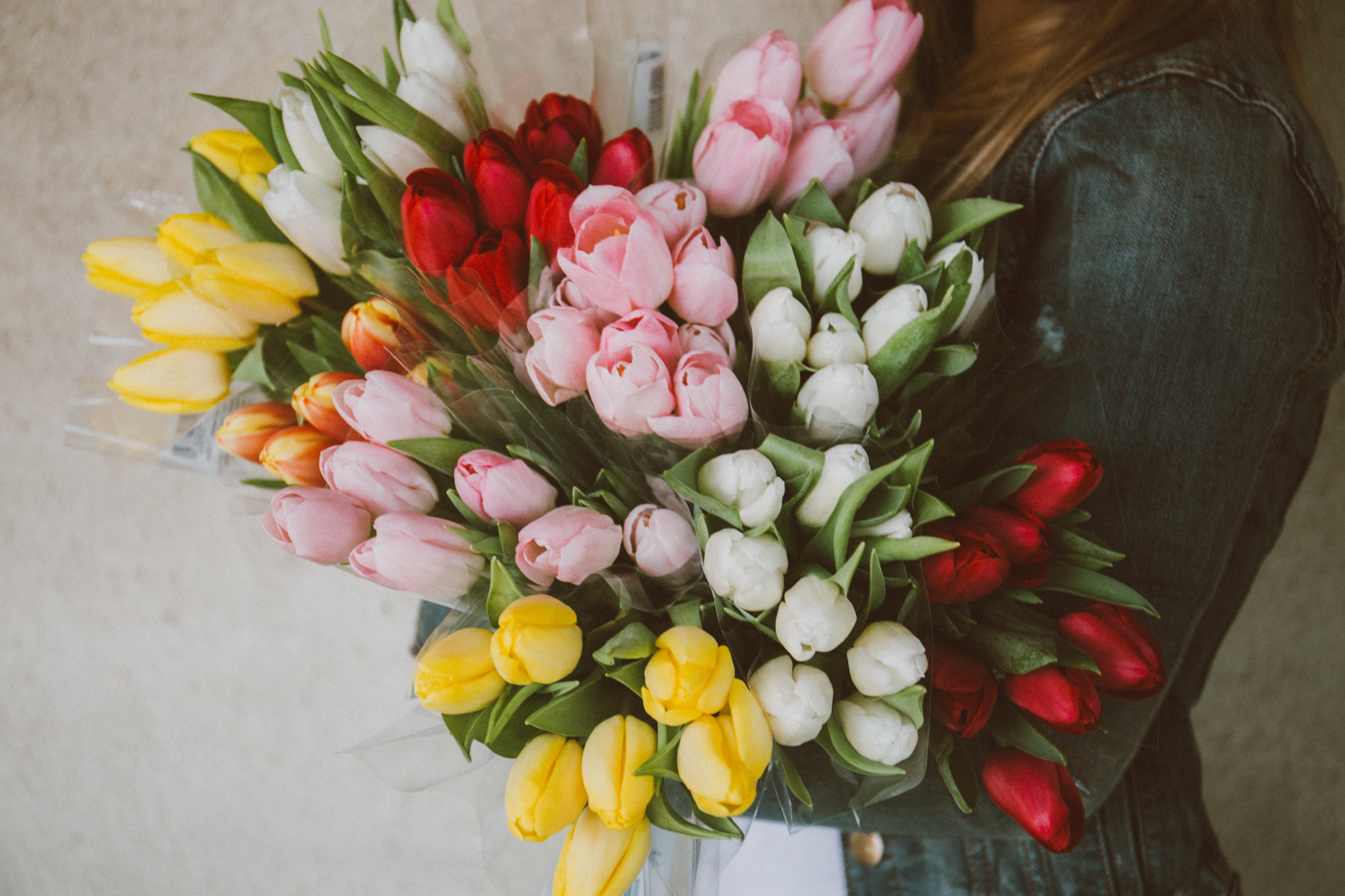 a woman in a jeans jacket carrying multiple bouquets of colorful tulips, woman with multiple tulip bouquets 4k, HD Wallpaper