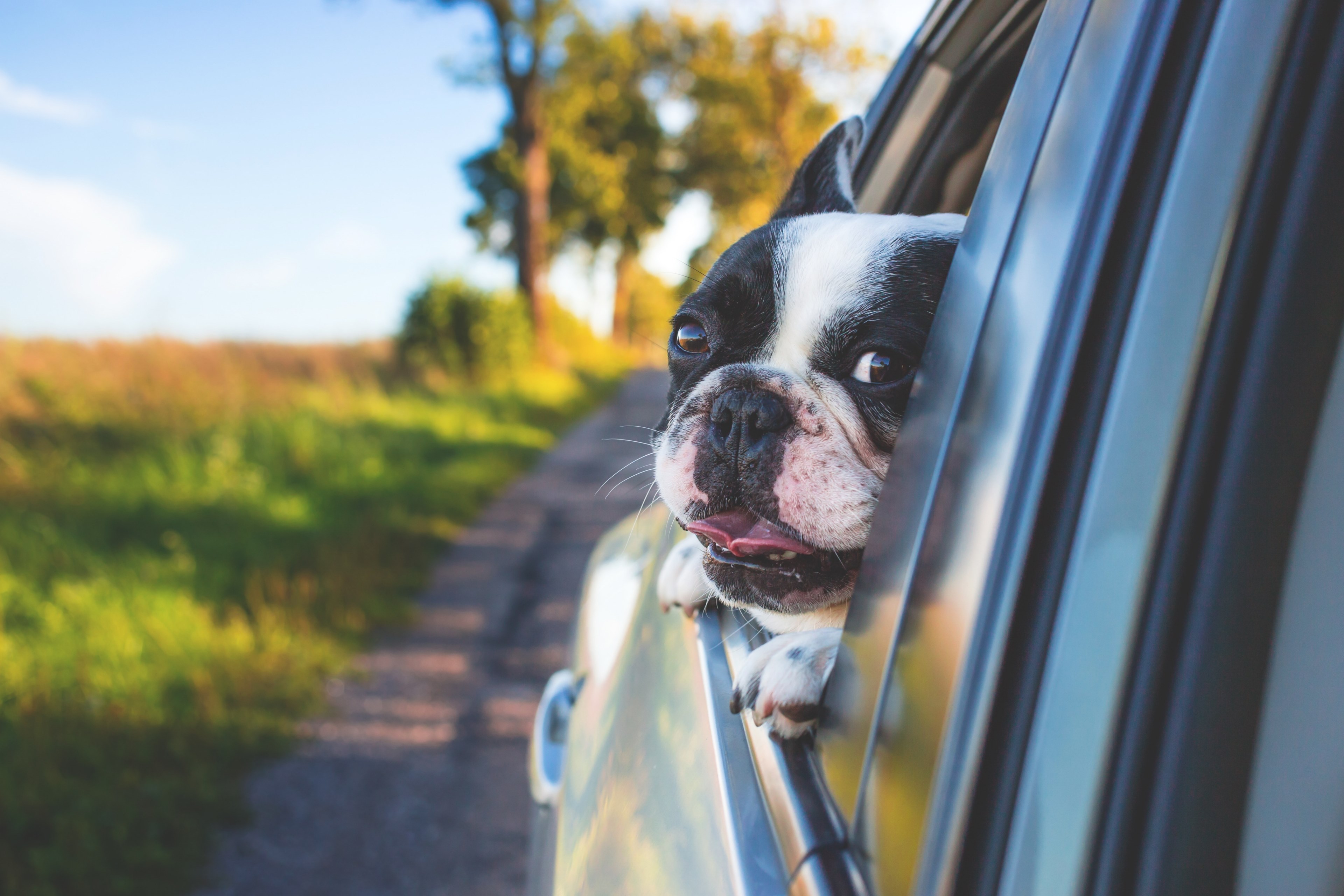 window wind white and vehicle 4k, HD Wallpaper