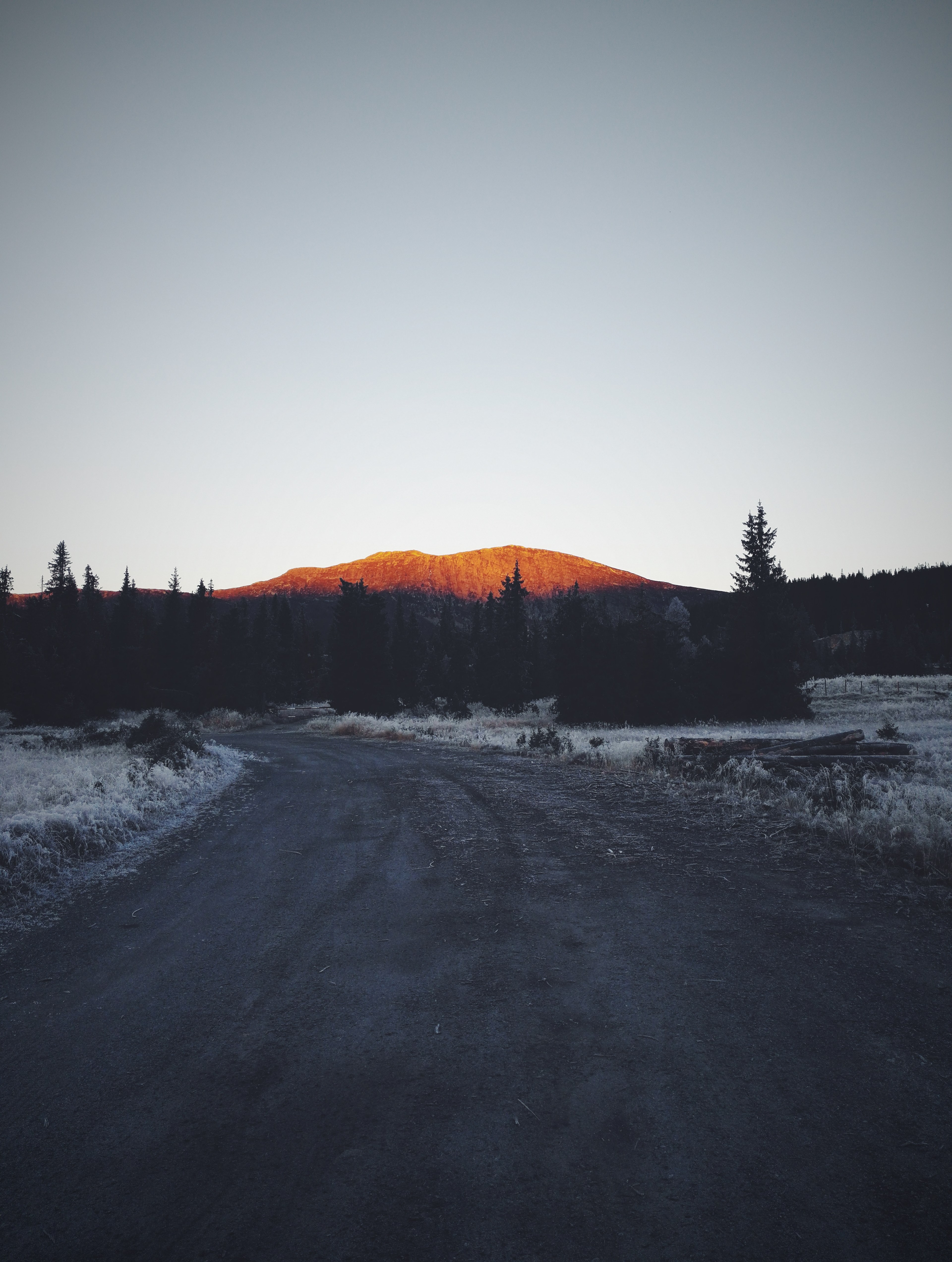 early october morning 4k, Phone HD Wallpaper