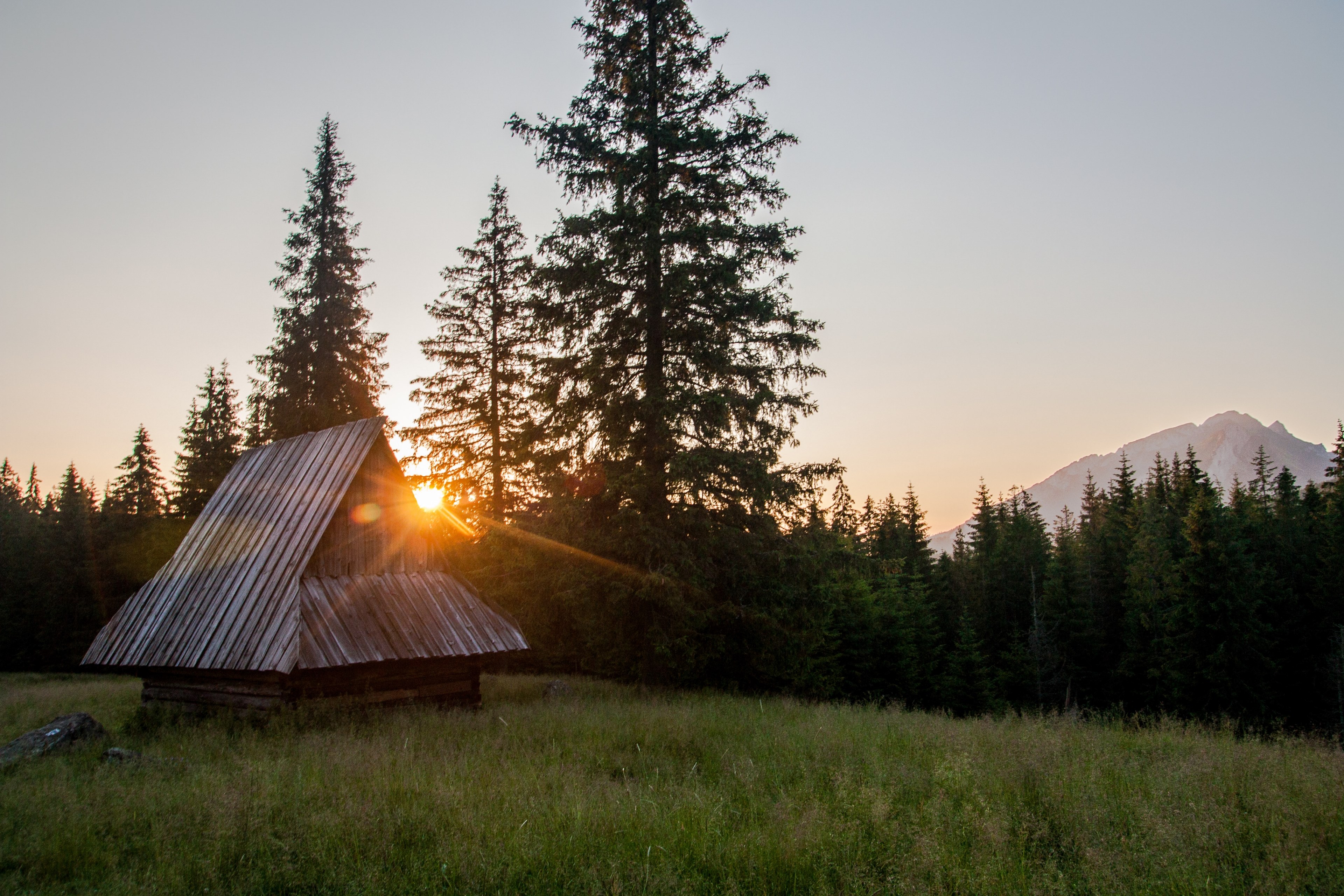 a wooden cabin along a grassy countryside with a sunset poking through trees, shack at sunset 4k, HD Wallpaper