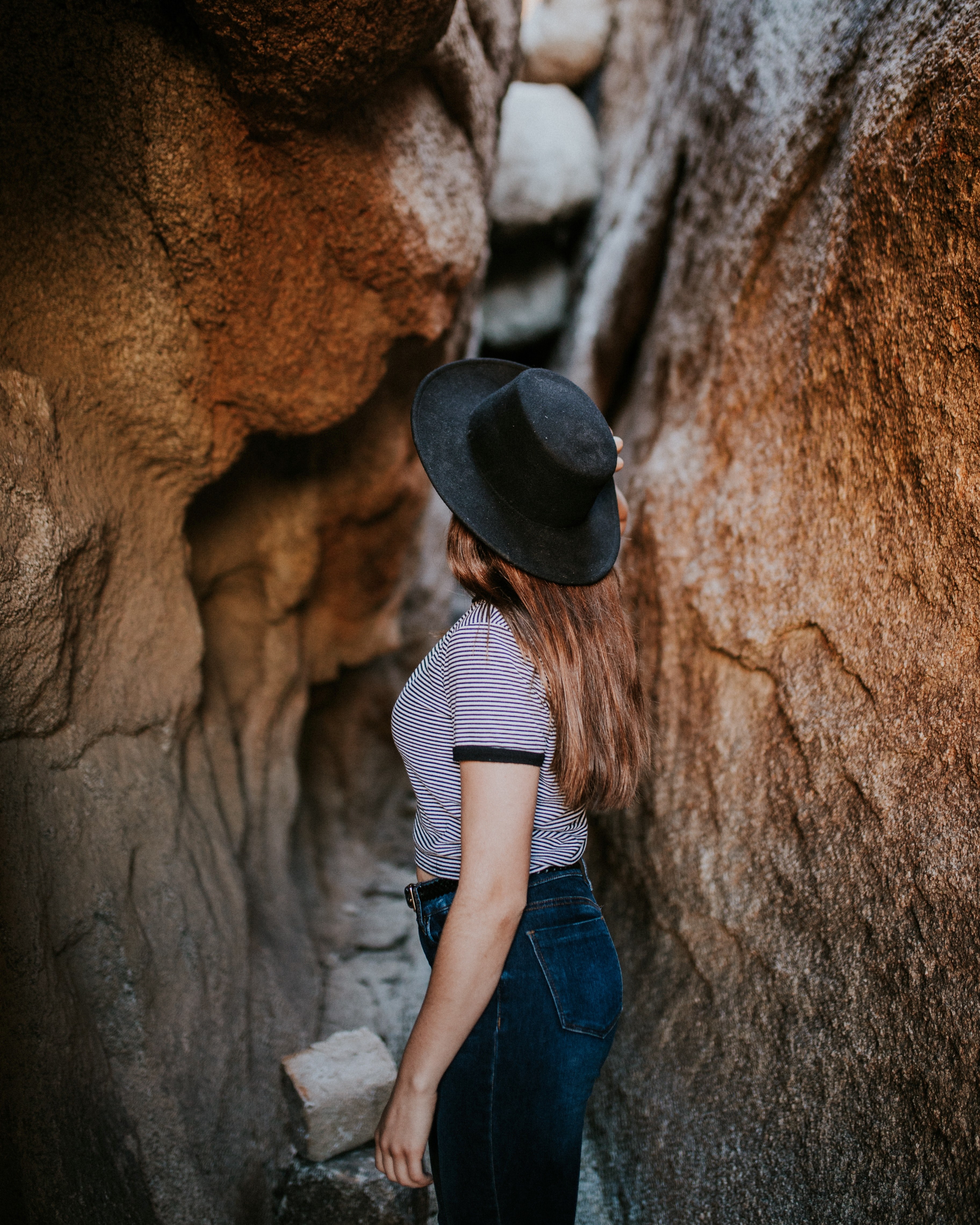 exploring joshua tree 4k, Phone HD Wallpaper