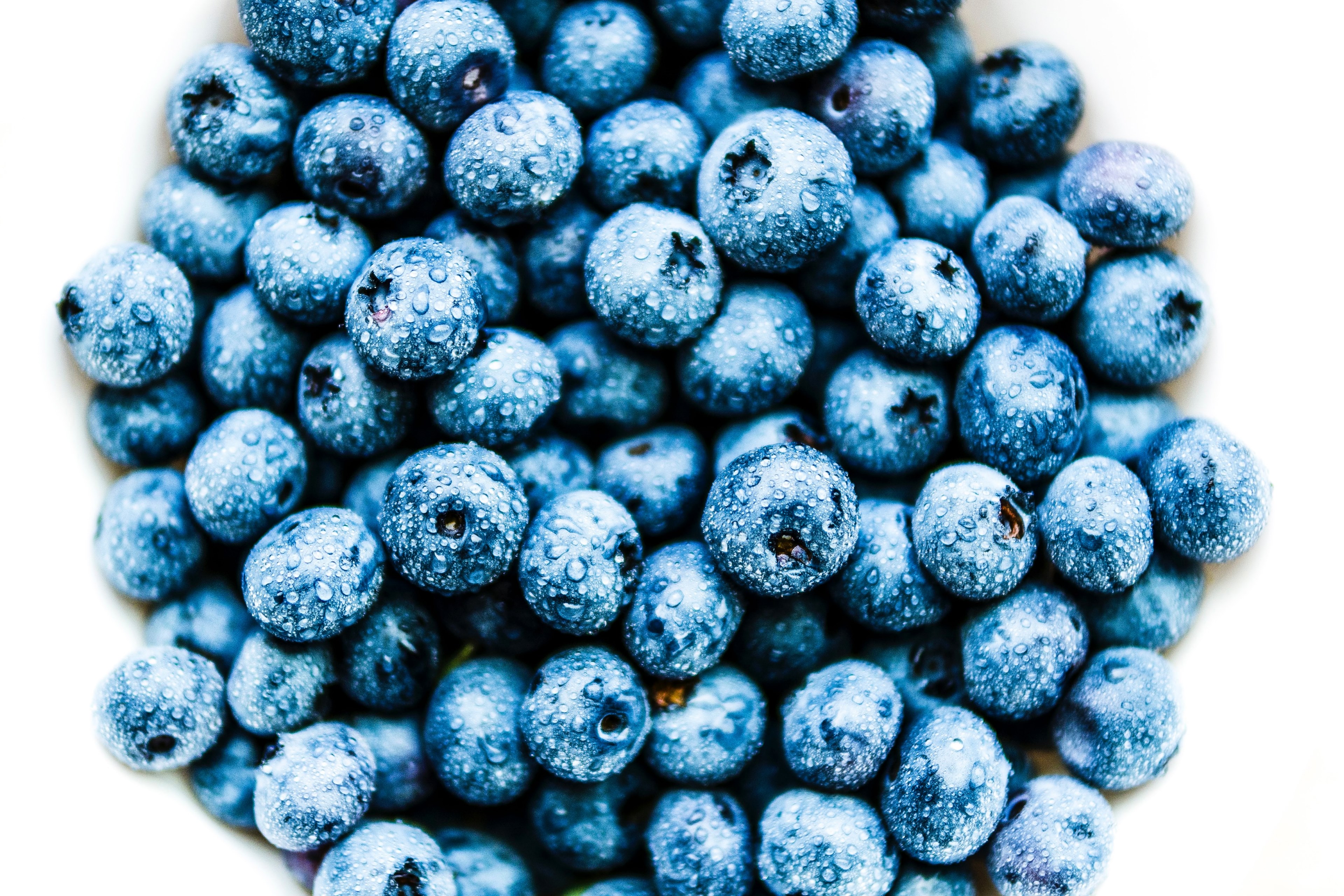 bowl of freshly washed blueberries ready to eat, blueberry 4k, HD Wallpaper
