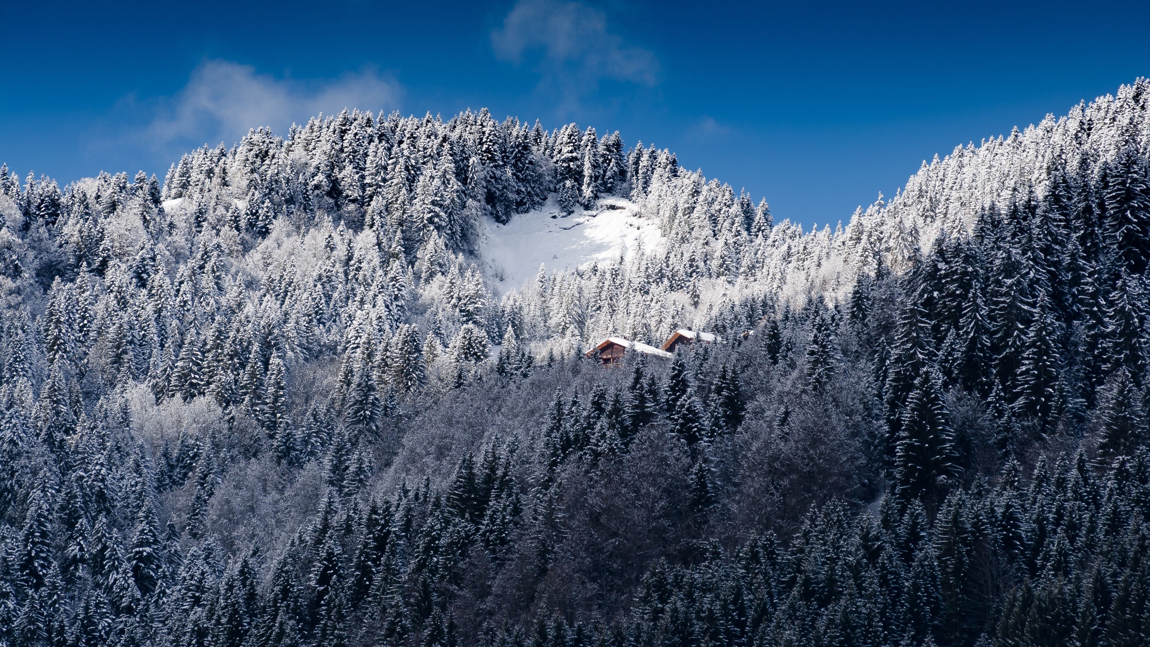 alps, mountains, snow, trees, 4k, HD Wallpaper