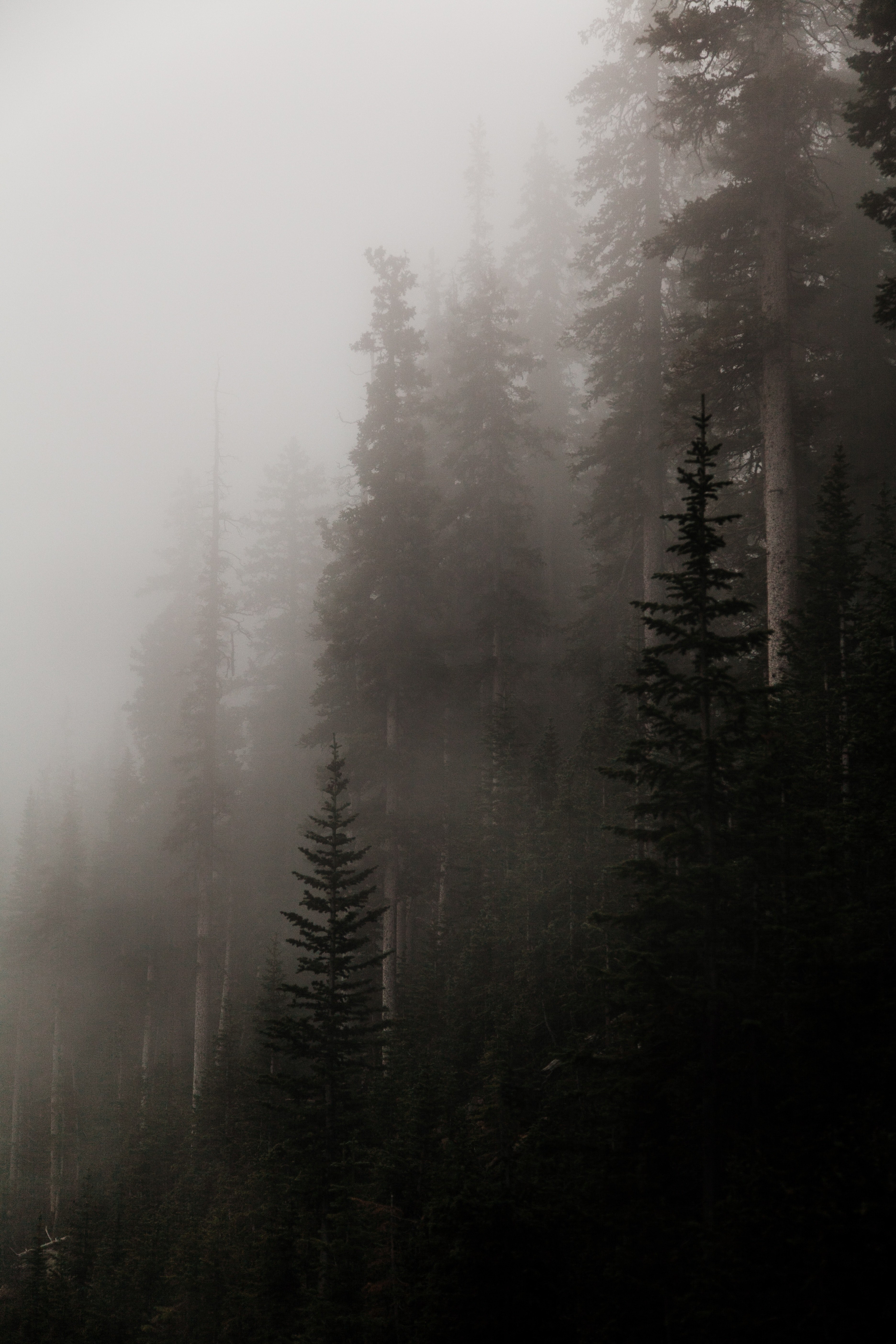 that which was once lost 4k, Phone HD Wallpaper