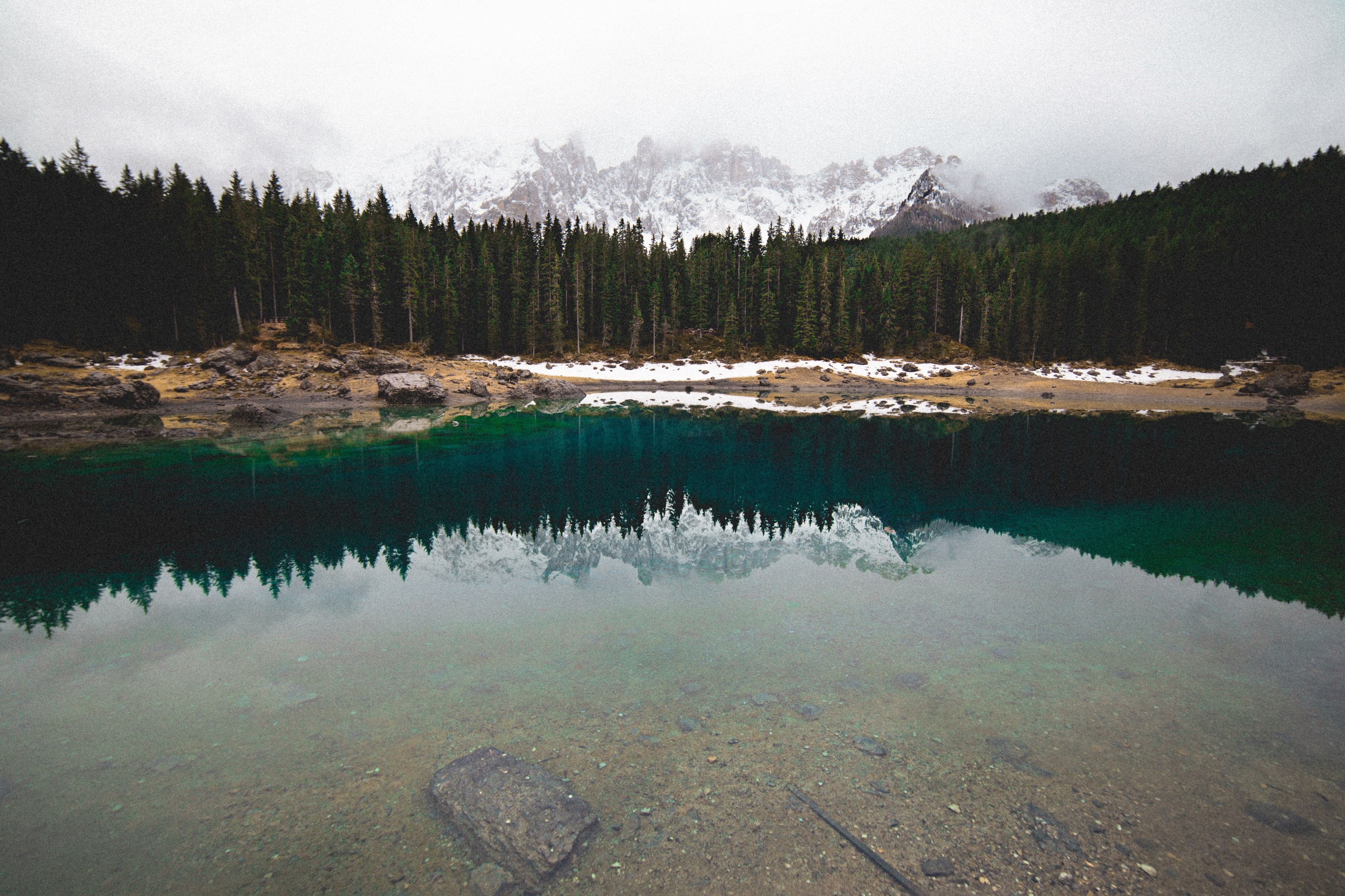 a forest of pine trees in front of a misty snowy mountain range is reflected in italys lake carezza, lake carezza forest reflection 4k, HD Wallpaper