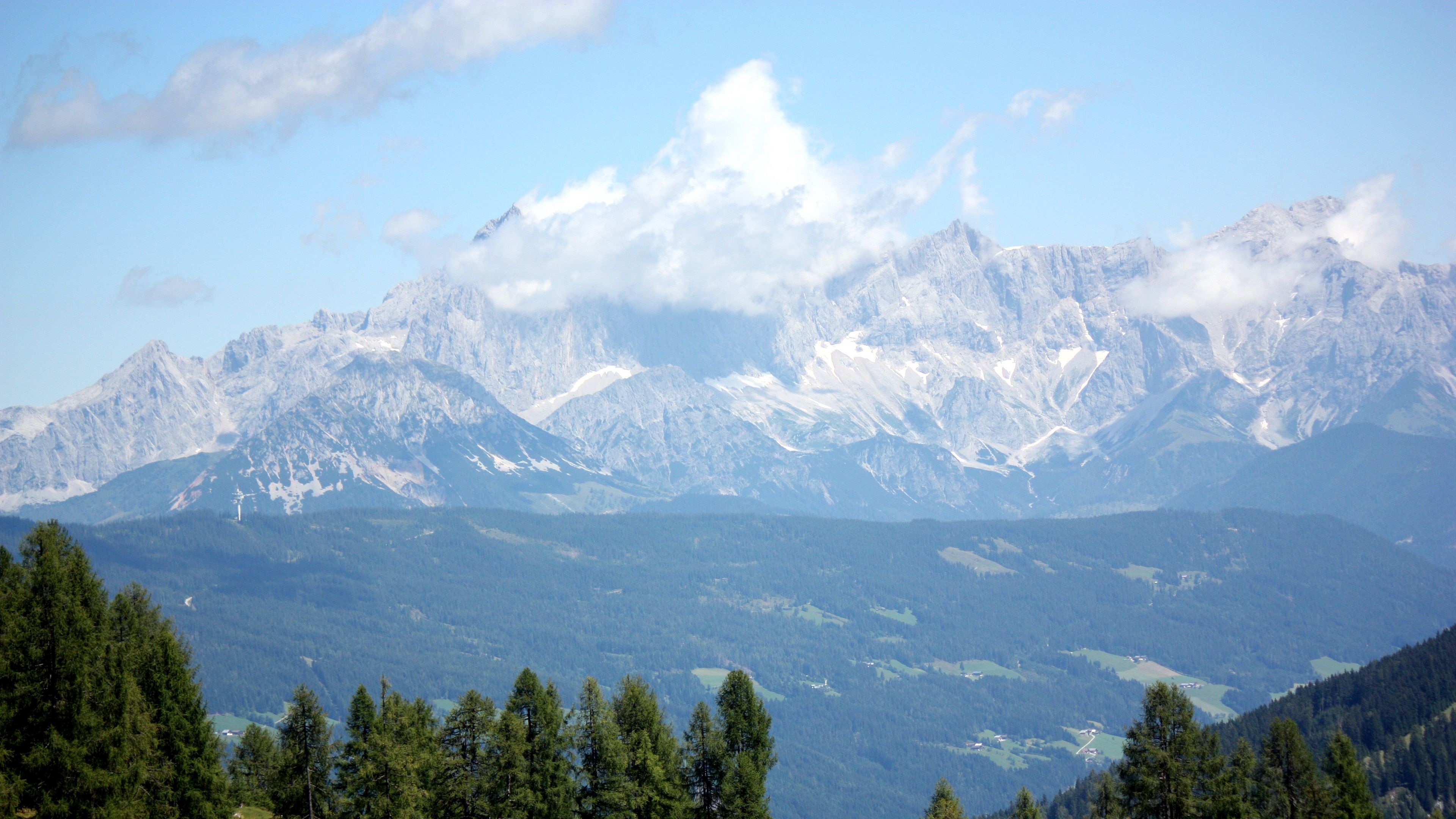austria, alps, mountains, trees, 4k, HD Wallpaper