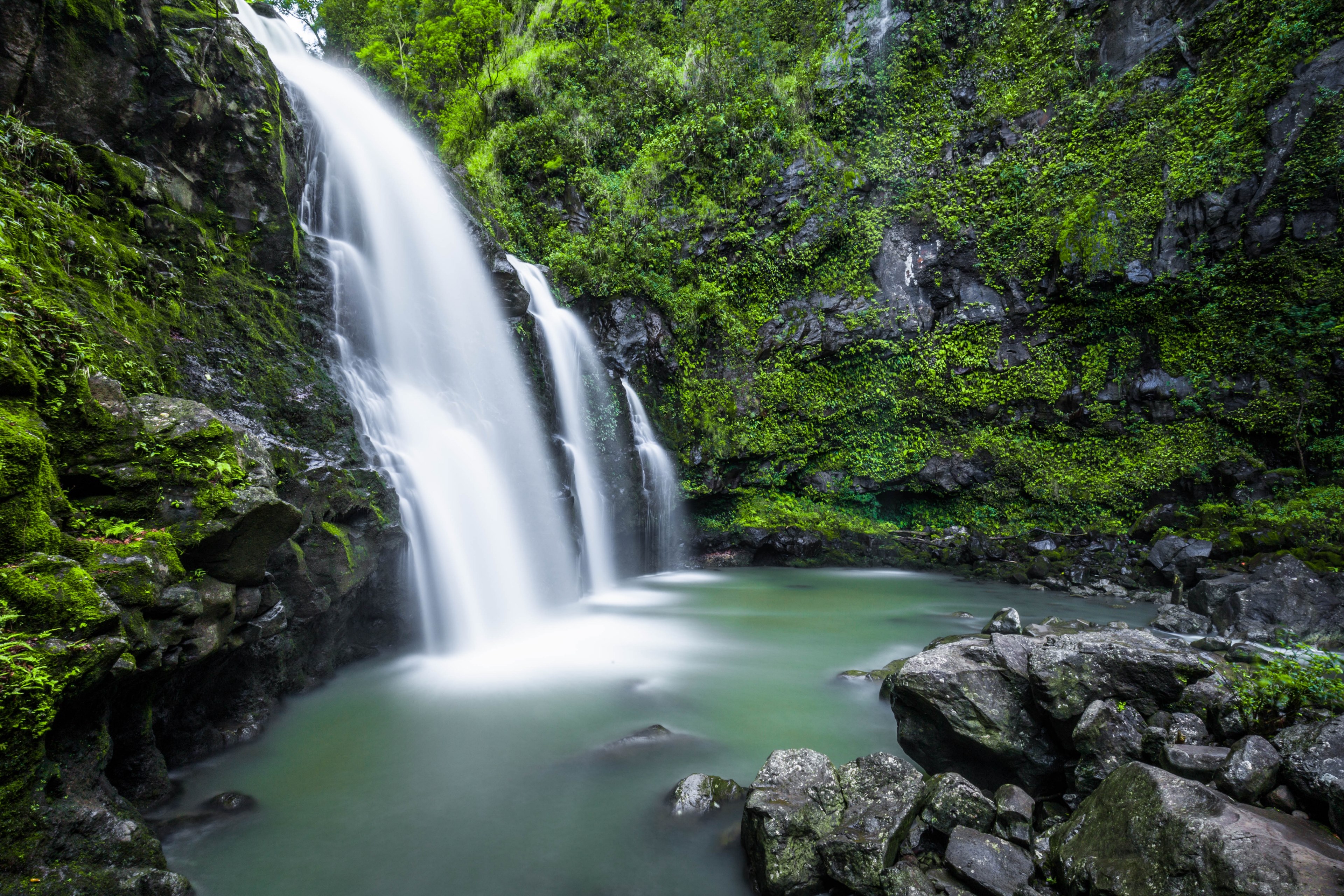 a waterfall pouring into a green pond surrounded by rock covered in green moss, serene 4k, HD Wallpaper