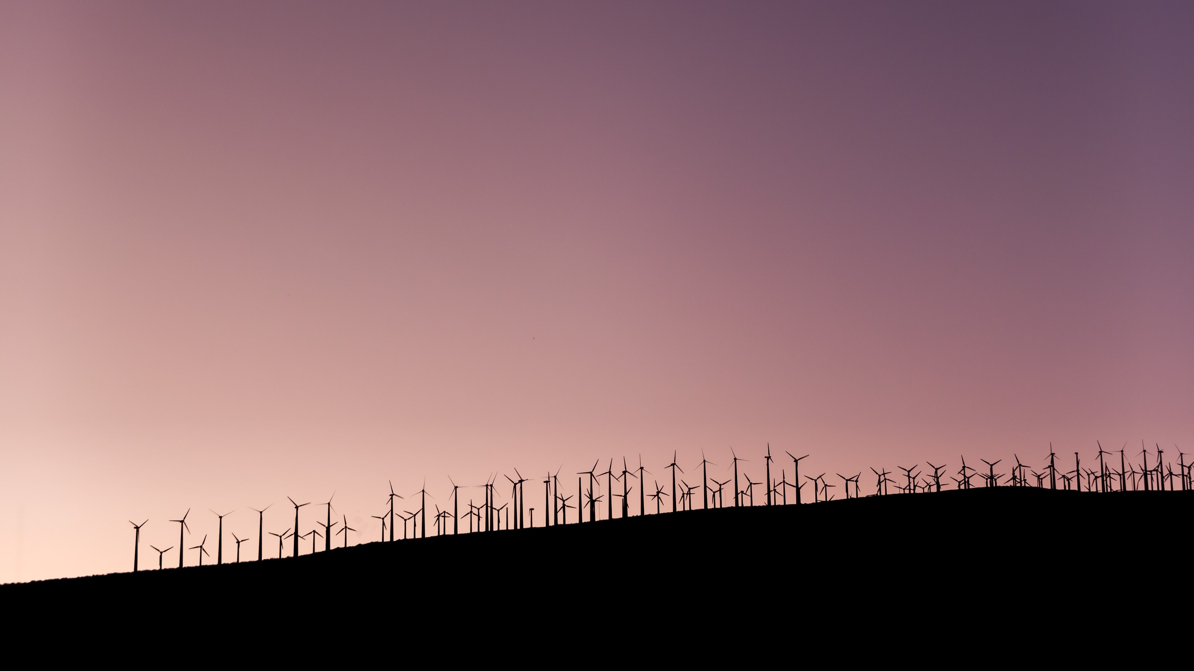 a large wind farm under a violet hued sky in palm springs, buttery sky 4k, HD Wallpaper