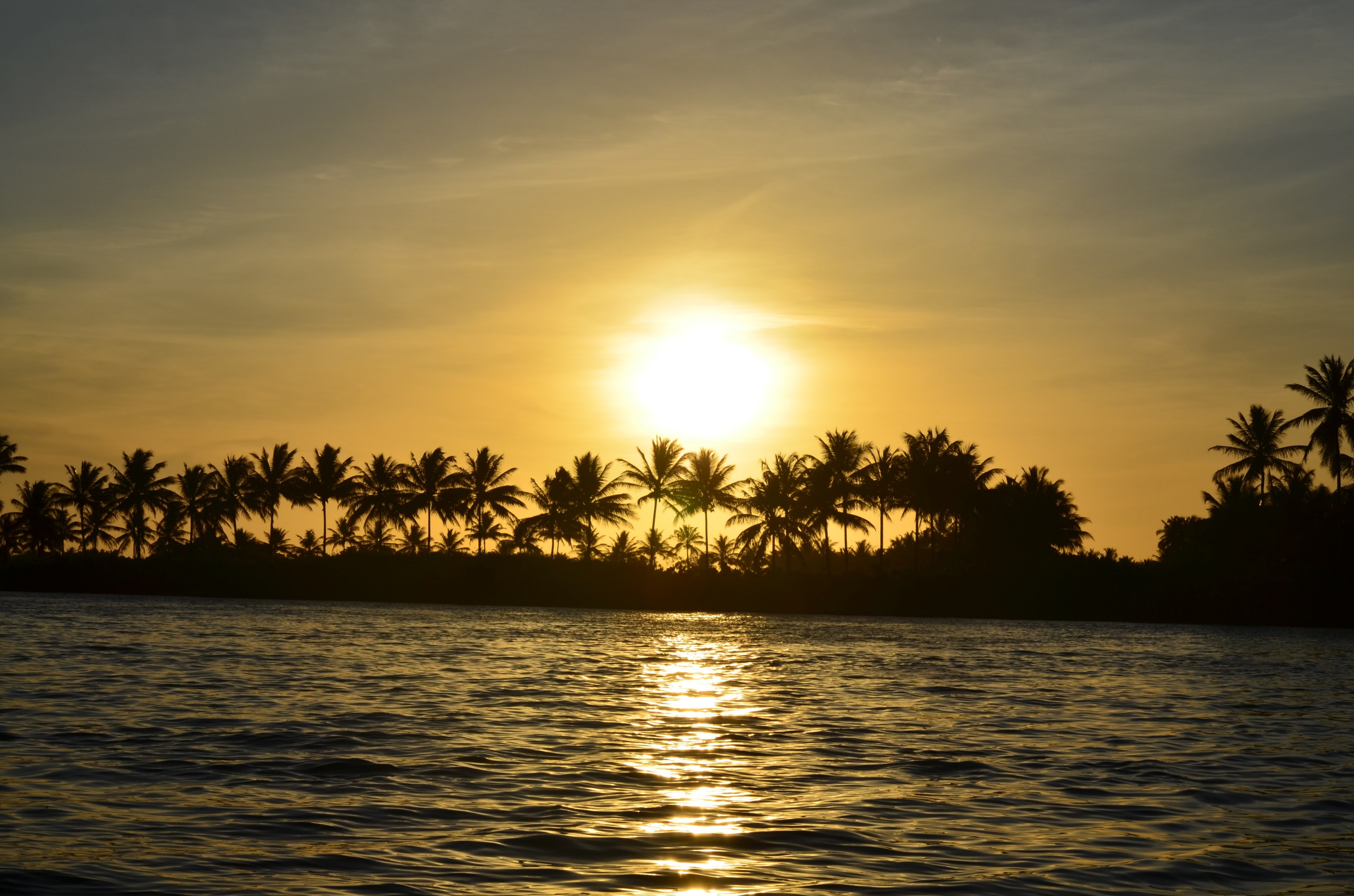 a yellow sky at sunset over the ocean with silhouettes of palm trees at brejo grande, yellow sunset 4k, HD Wallpaper