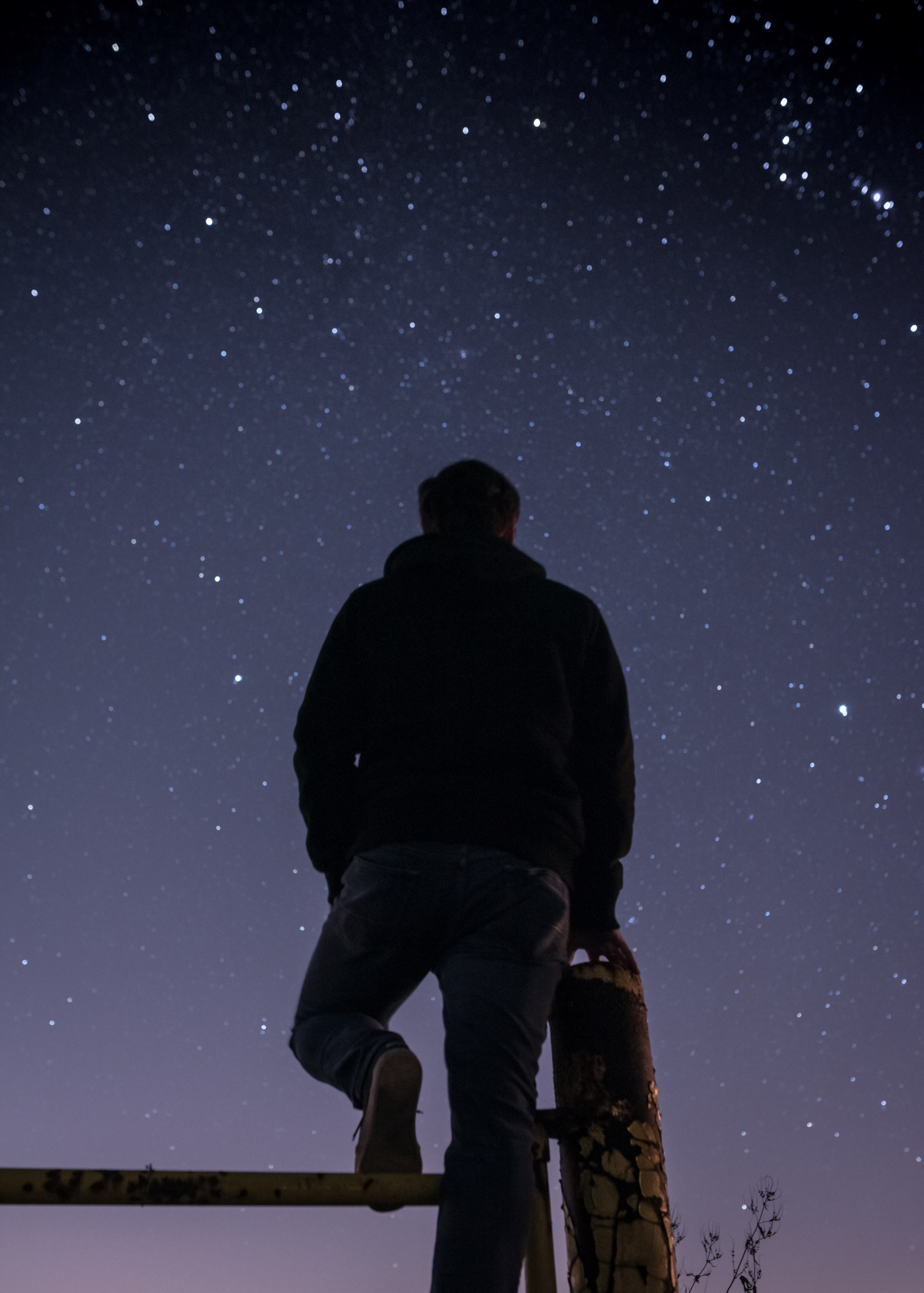 wander 4k, Phone HD Wallpaper