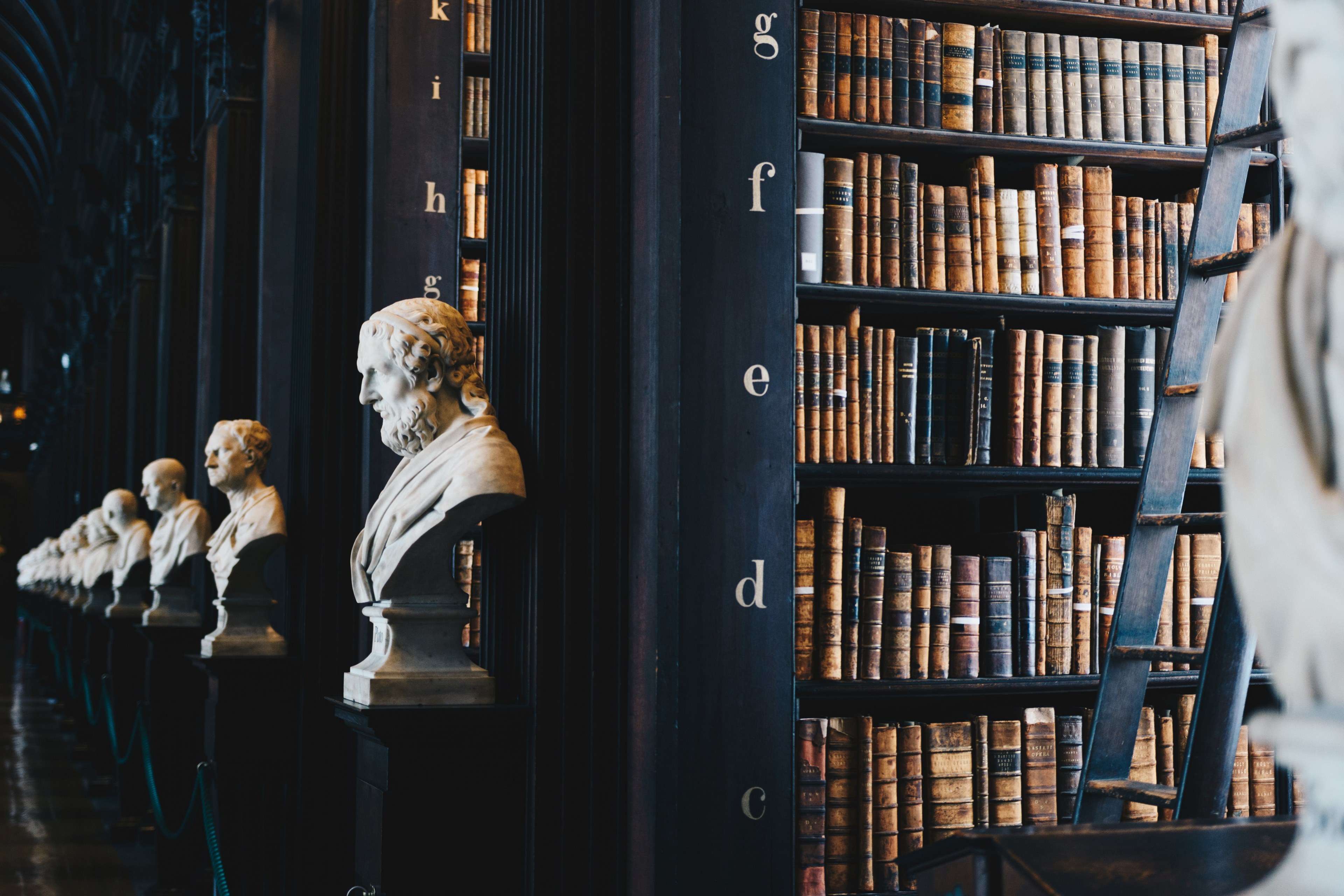 bust statue man and library 4k, HD Wallpaper