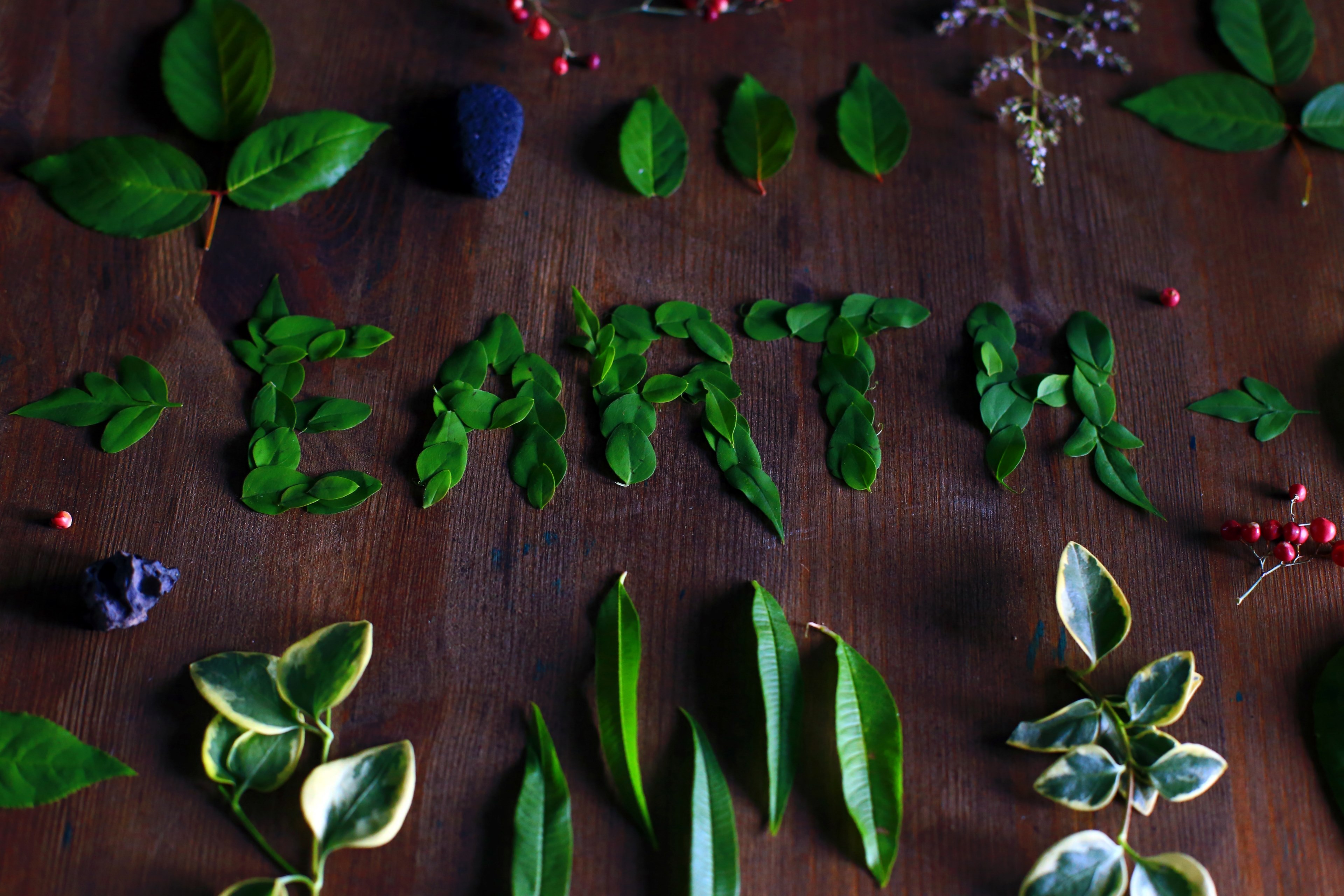 plants and leafs arranged to make earth text artwork on table in barcelona, earth lettering 4k, HD Wallpaper