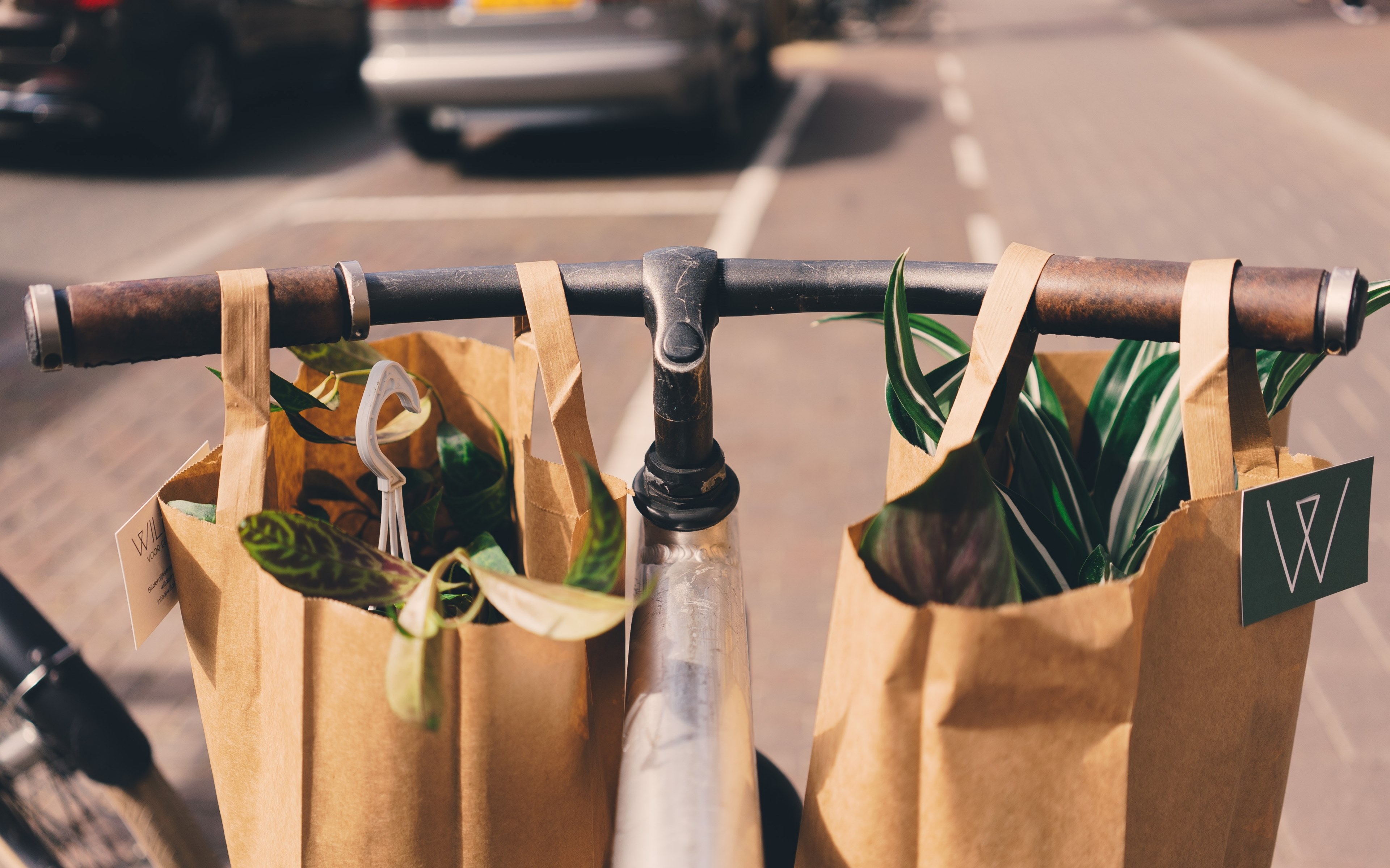 paper bags of houseplants hang on the handlebars of a bicycle, shopping in amsterdam 4k, HD Wallpaper