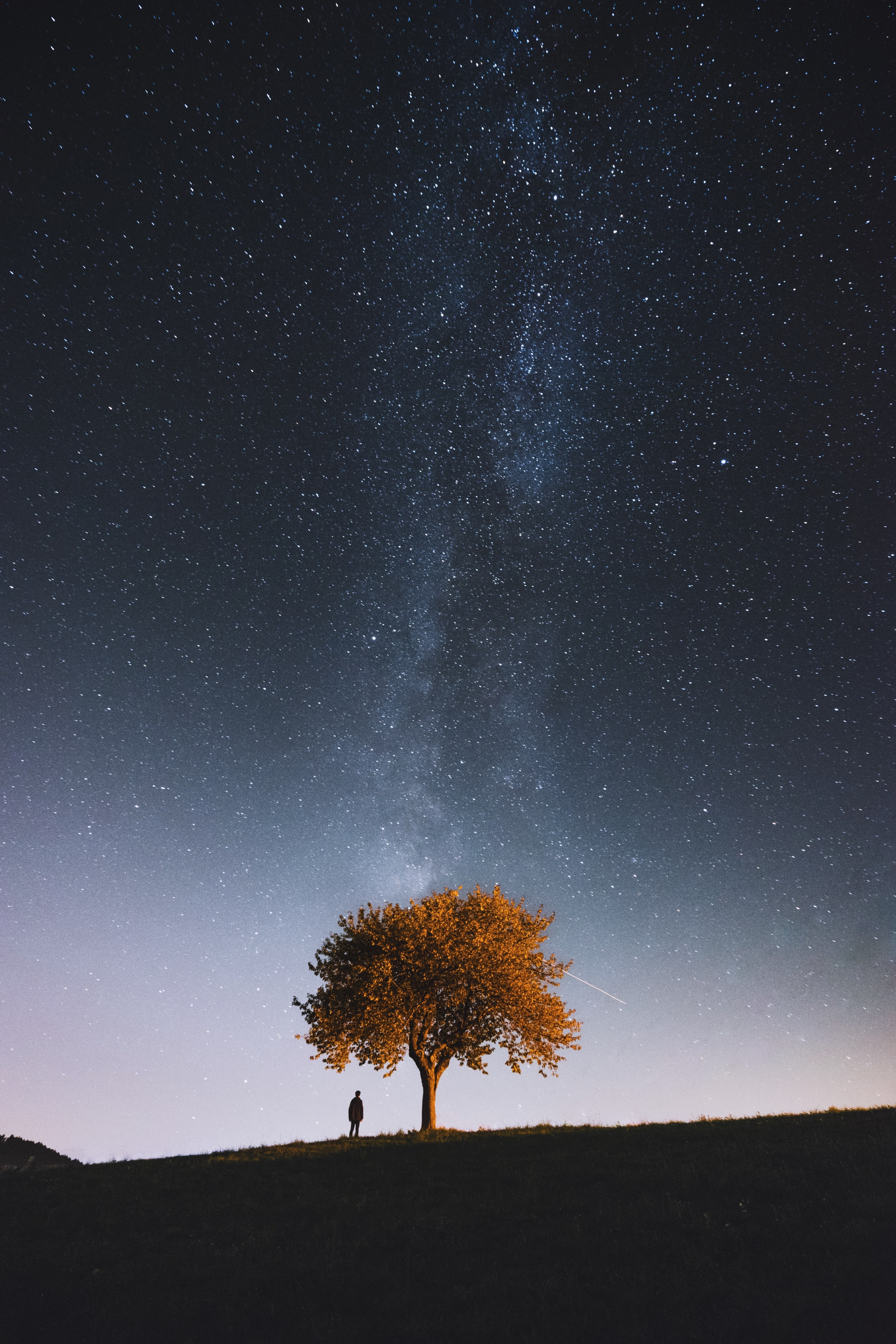 where the real world ends_ 4k, Phone HD Wallpaper