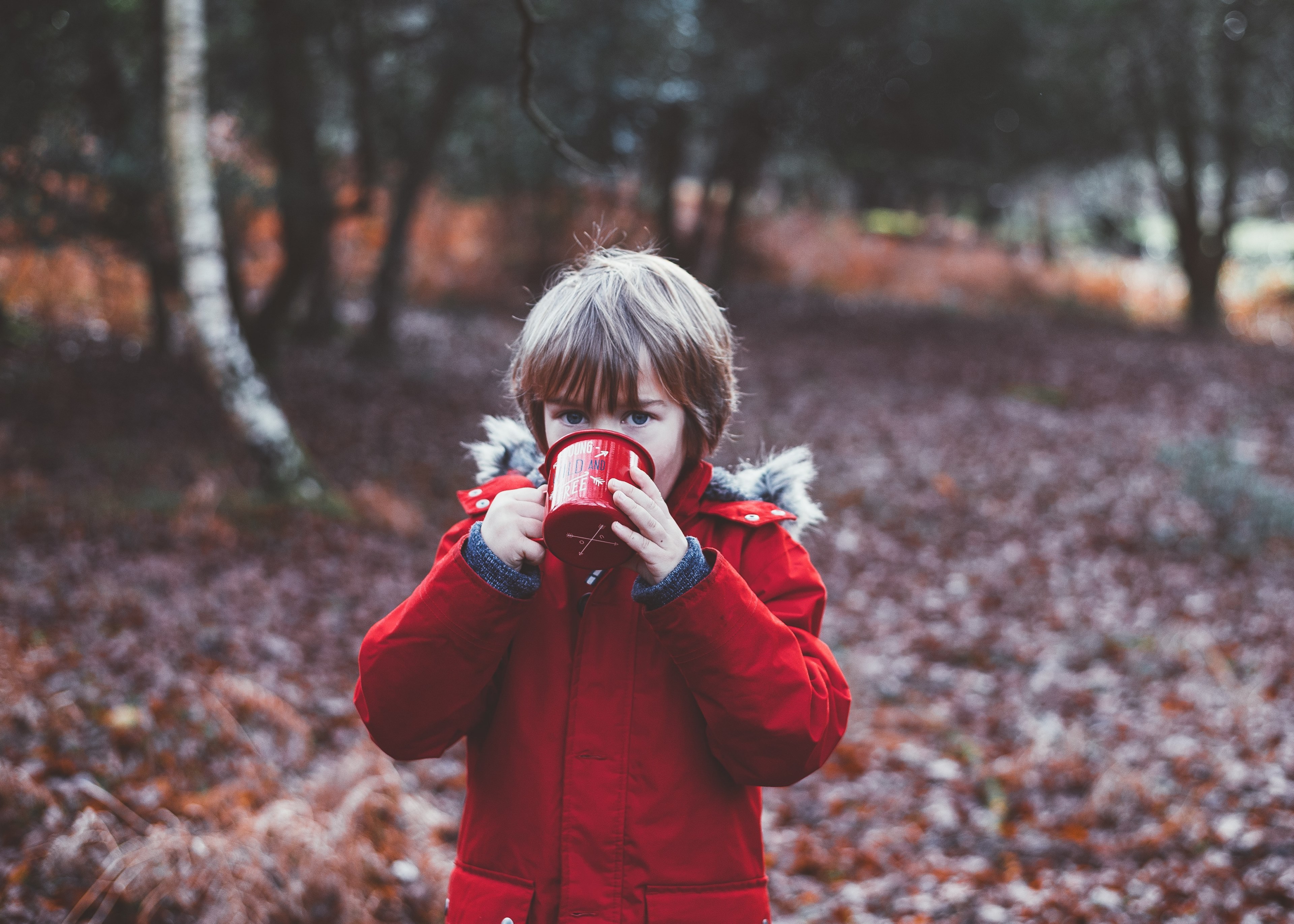 a small boy drinking out of an enamel cup in an autumn forest, ozzy 4k, HD Wallpaper