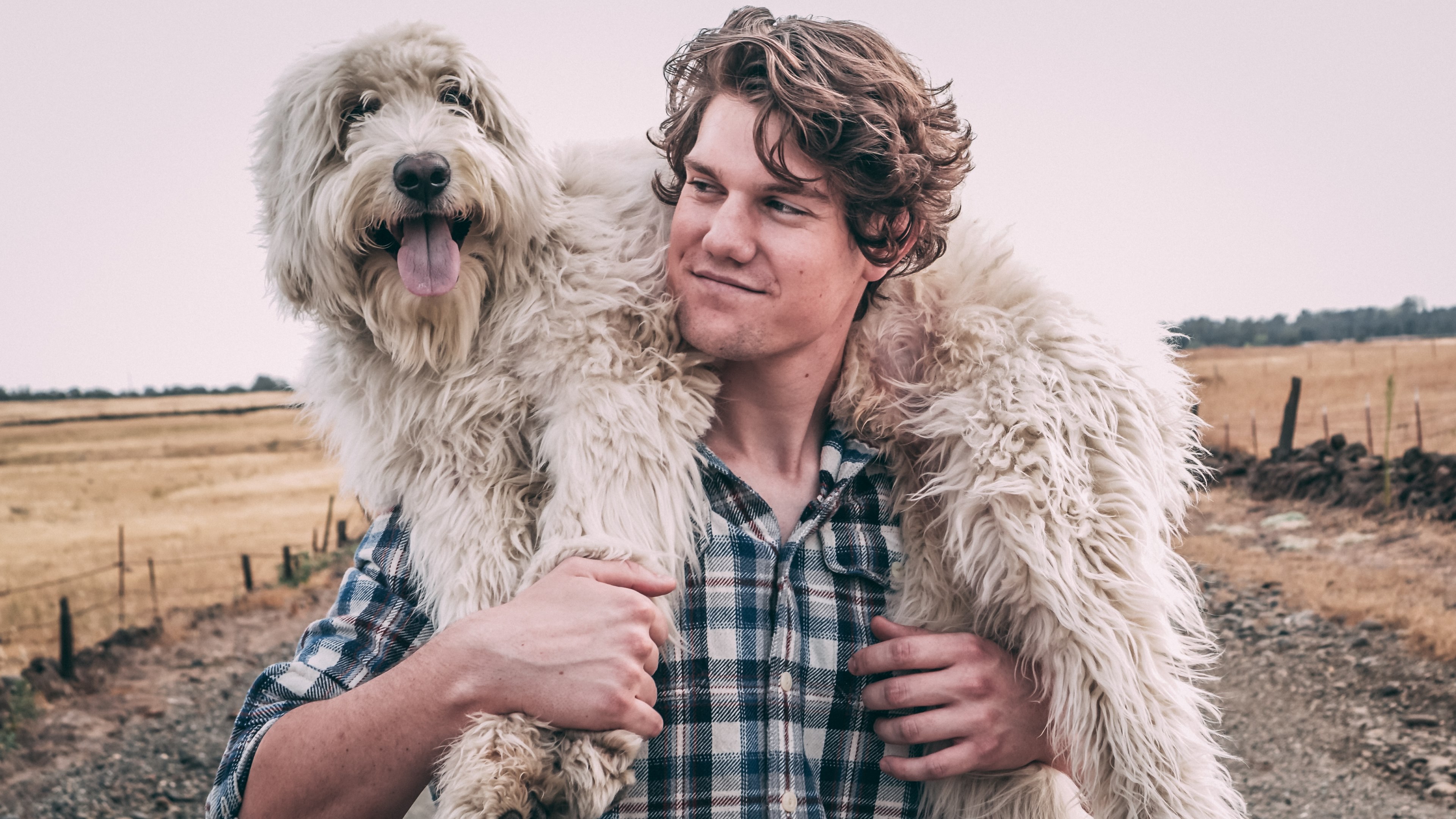 dog over shoulder man and dog pet and man 4k, HD Wallpaper