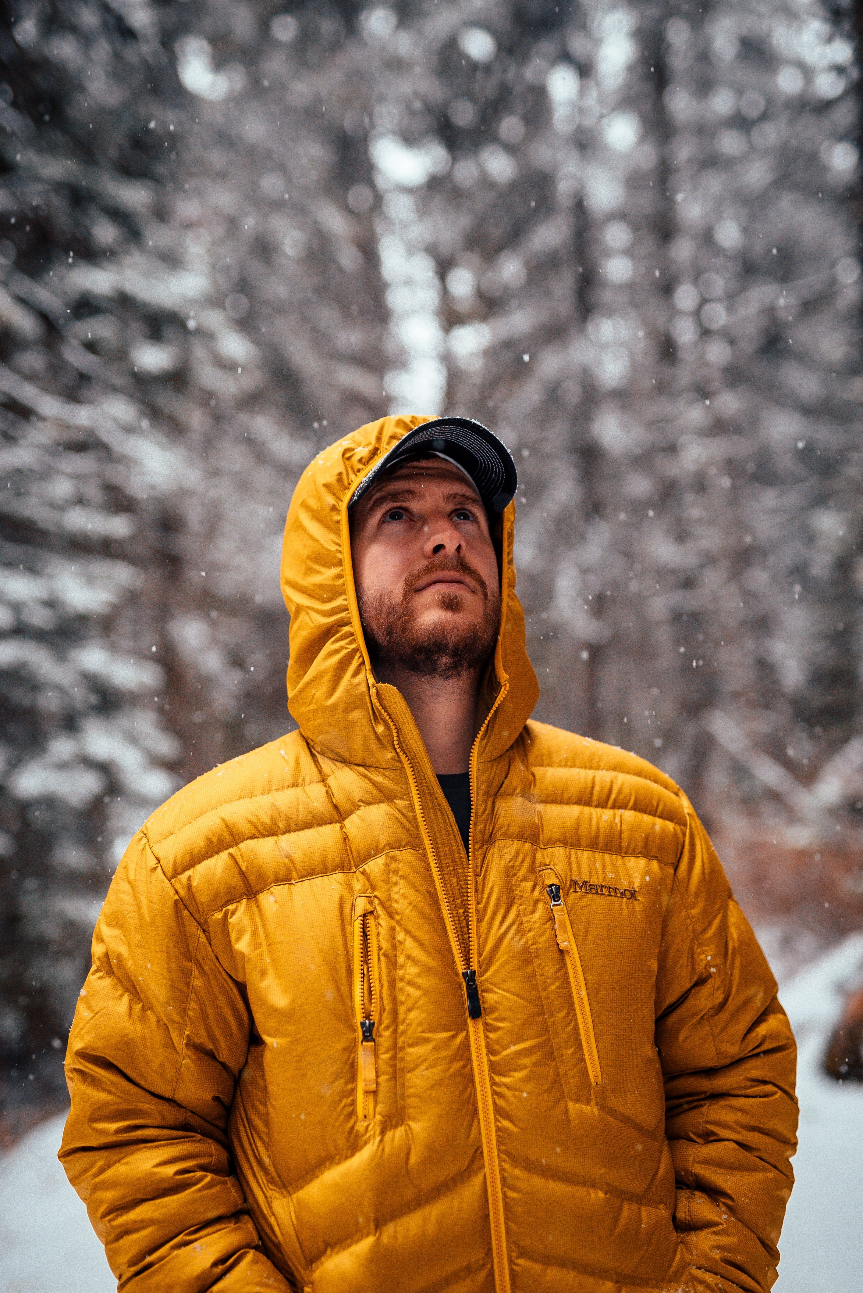 lost in the wilderness 4k, Phone HD Wallpaper