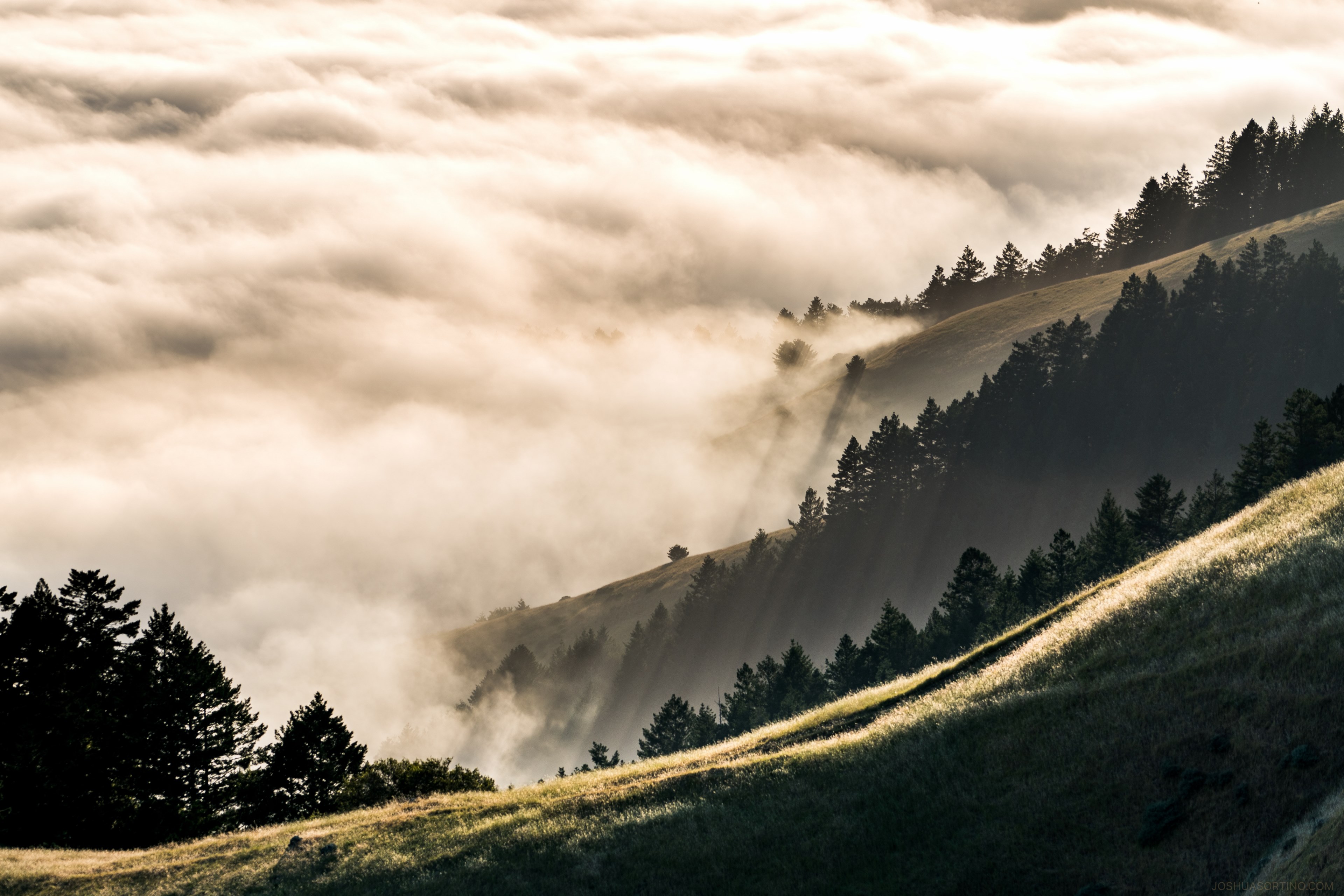 clouds roll in over dark forest as sun rises, sunset beyond the fog 4k, HD Wallpaper