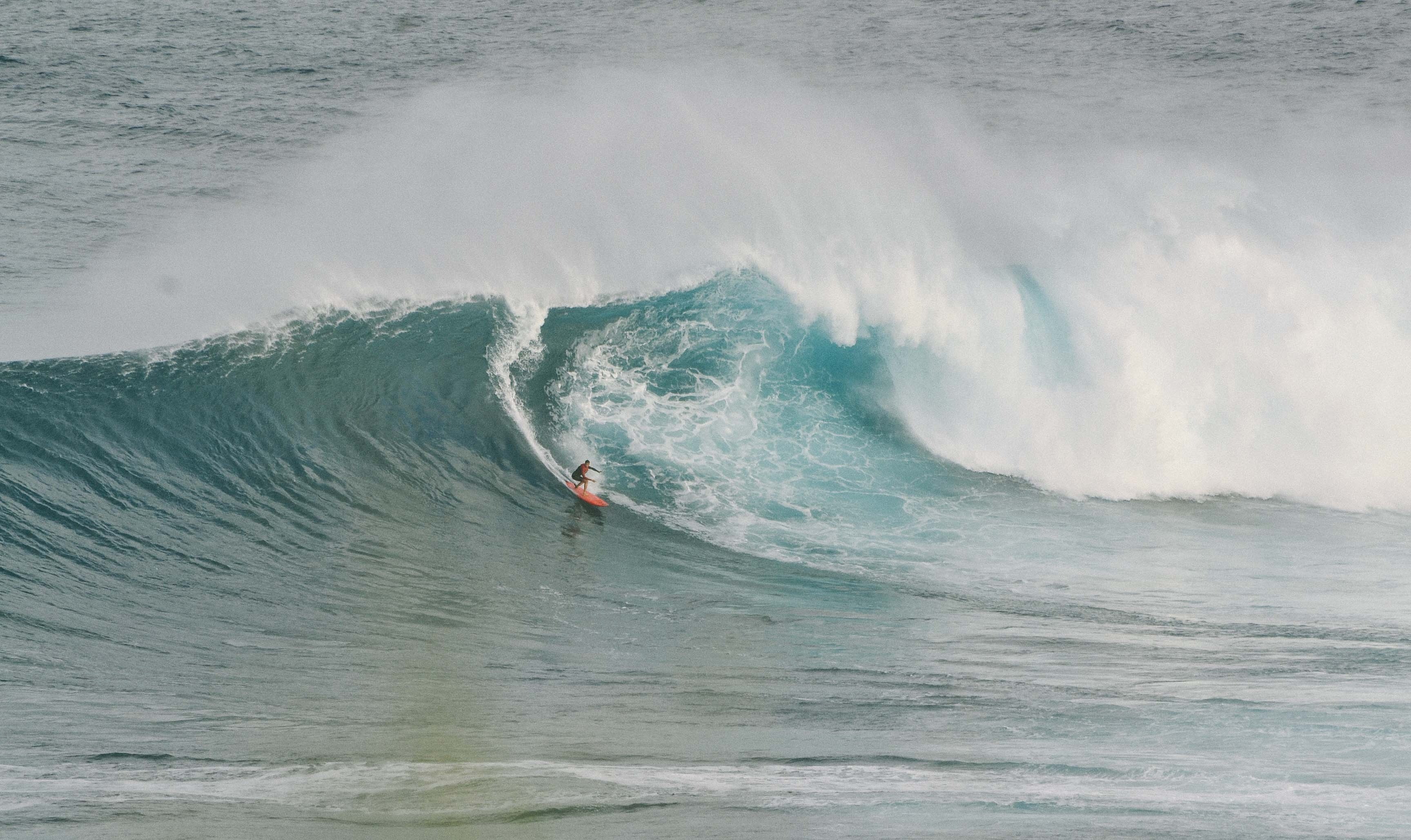 a distant surfer riding a huge curling wave in the ocean at jaws, jaws 4k, HD Wallpaper
