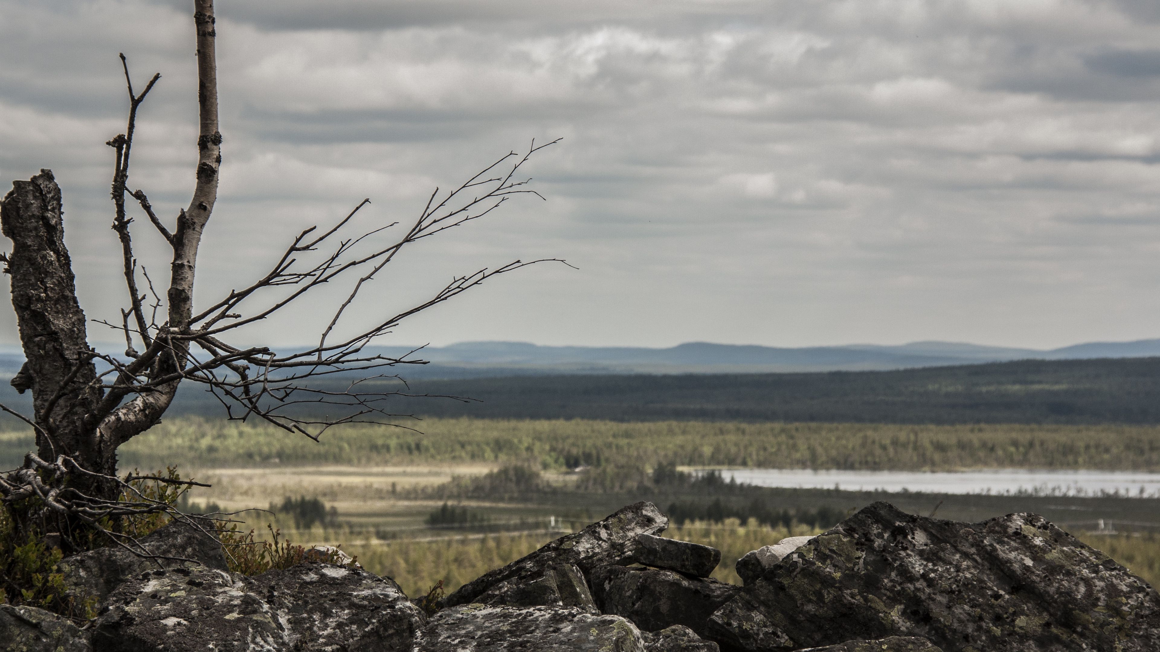 lapland, stones, wood, 4k, HD Wallpaper