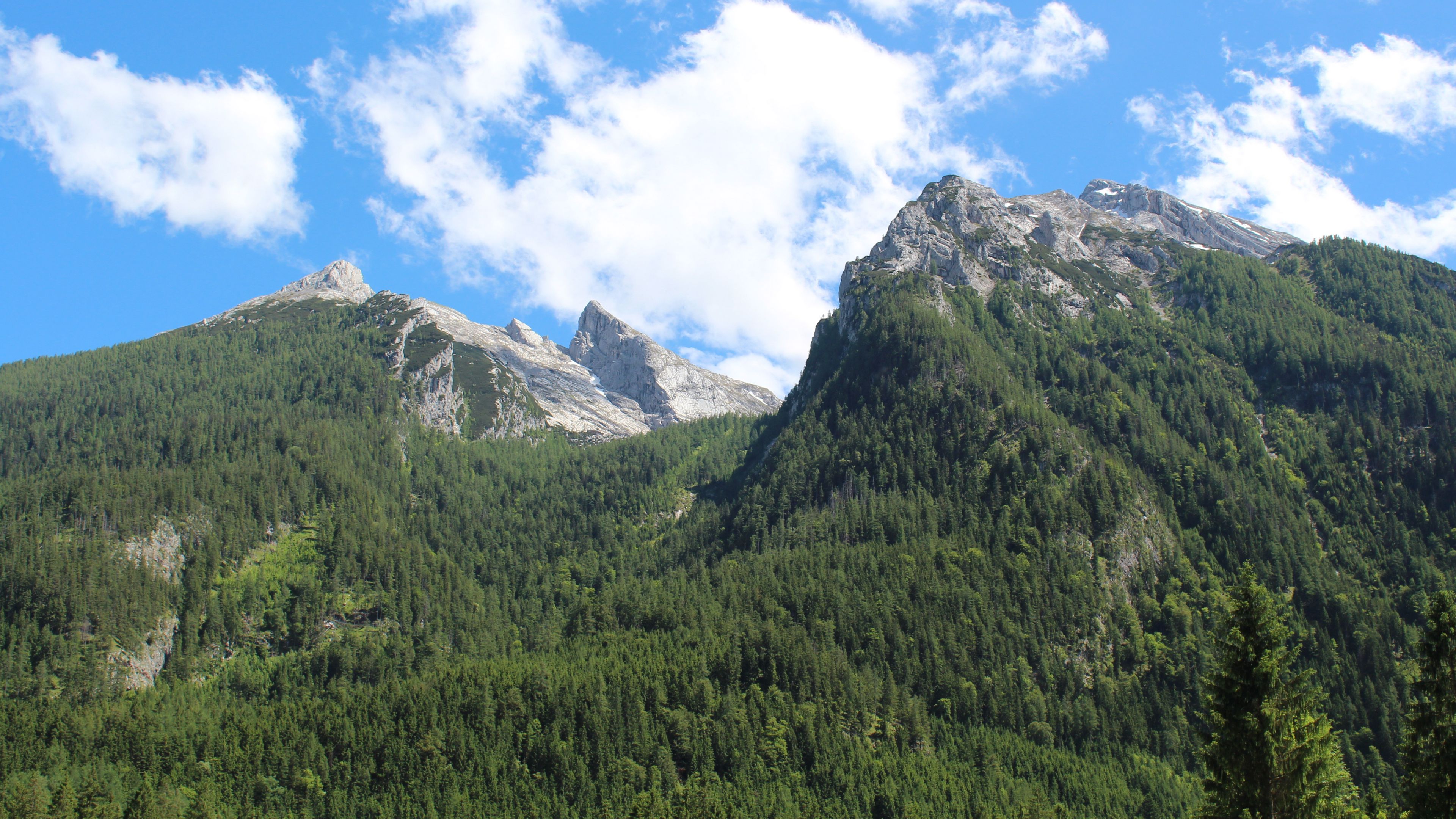 germany, hintersee, berchtesgaden, mountains, trees, 4k, HD Wallpaper
