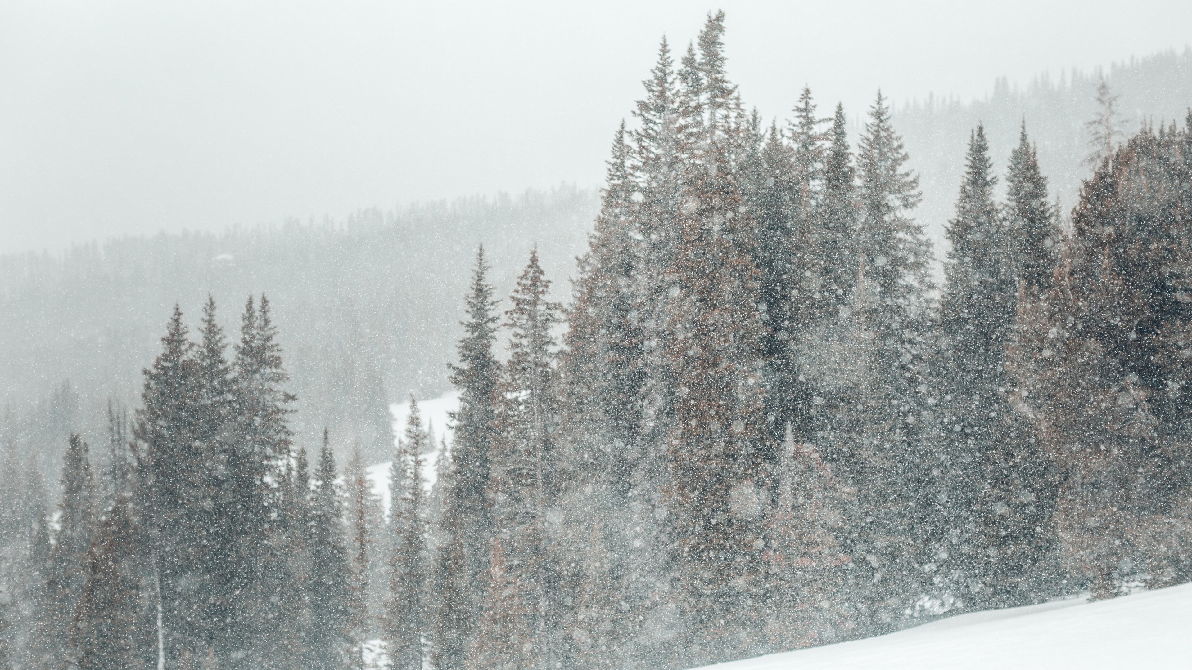 snowshoeing expedition 04 4k, HD Wallpaper