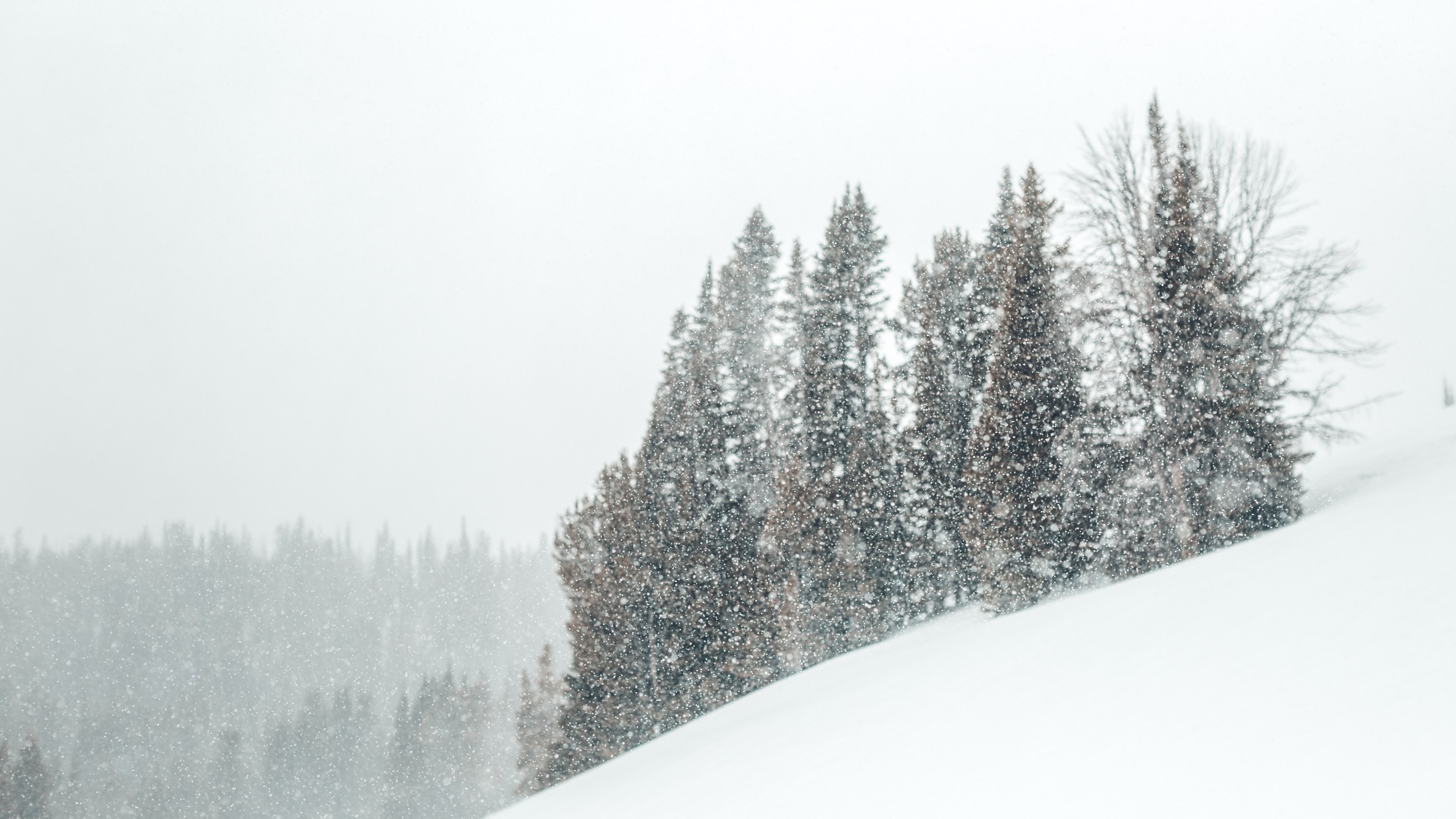 snowshoeing expedition 03 4k, HD Wallpaper
