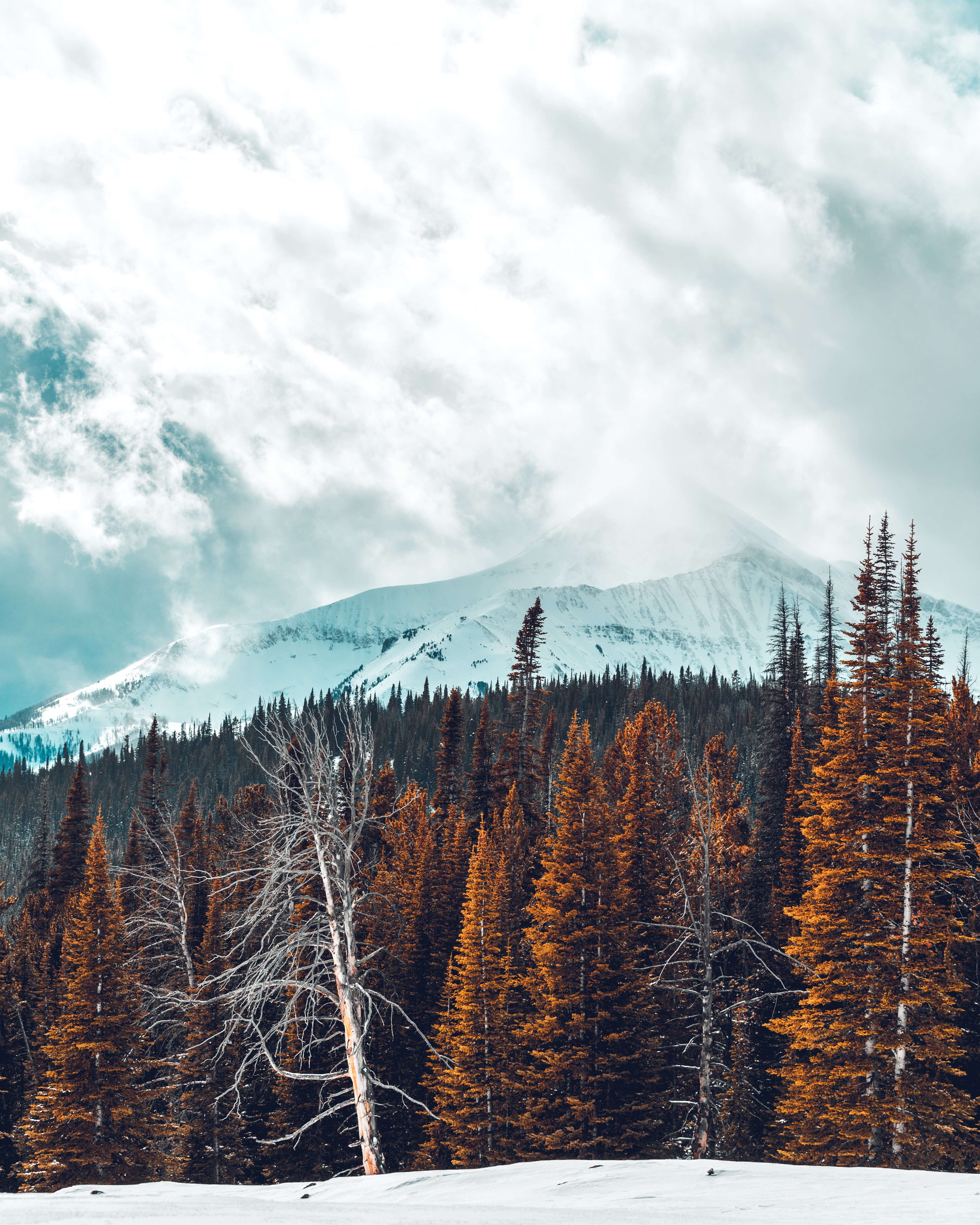 snowshoeing expedition 08 4k, Phone HD Wallpaper