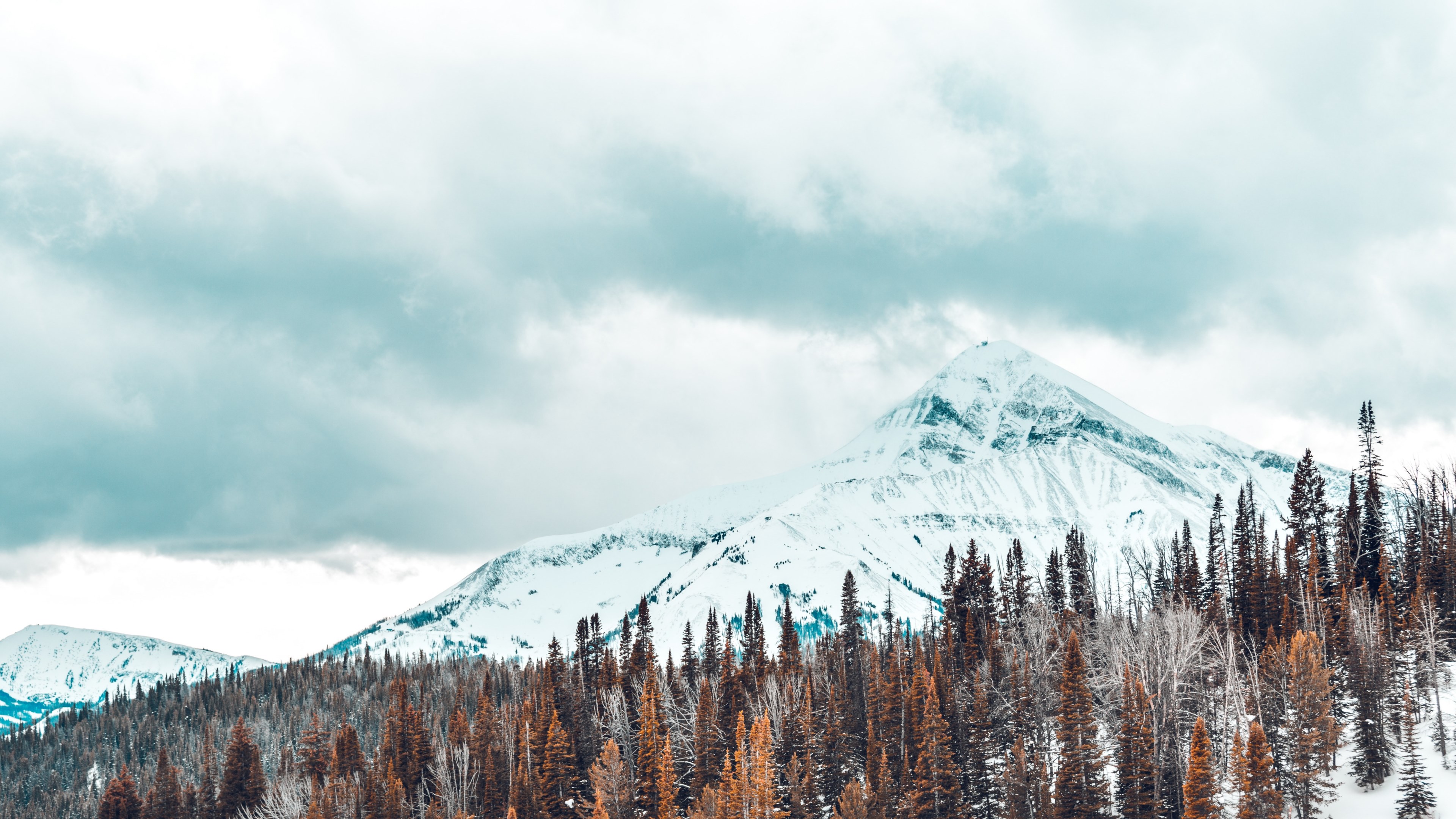 snowshoeing expedition 11 4k, HD Wallpaper