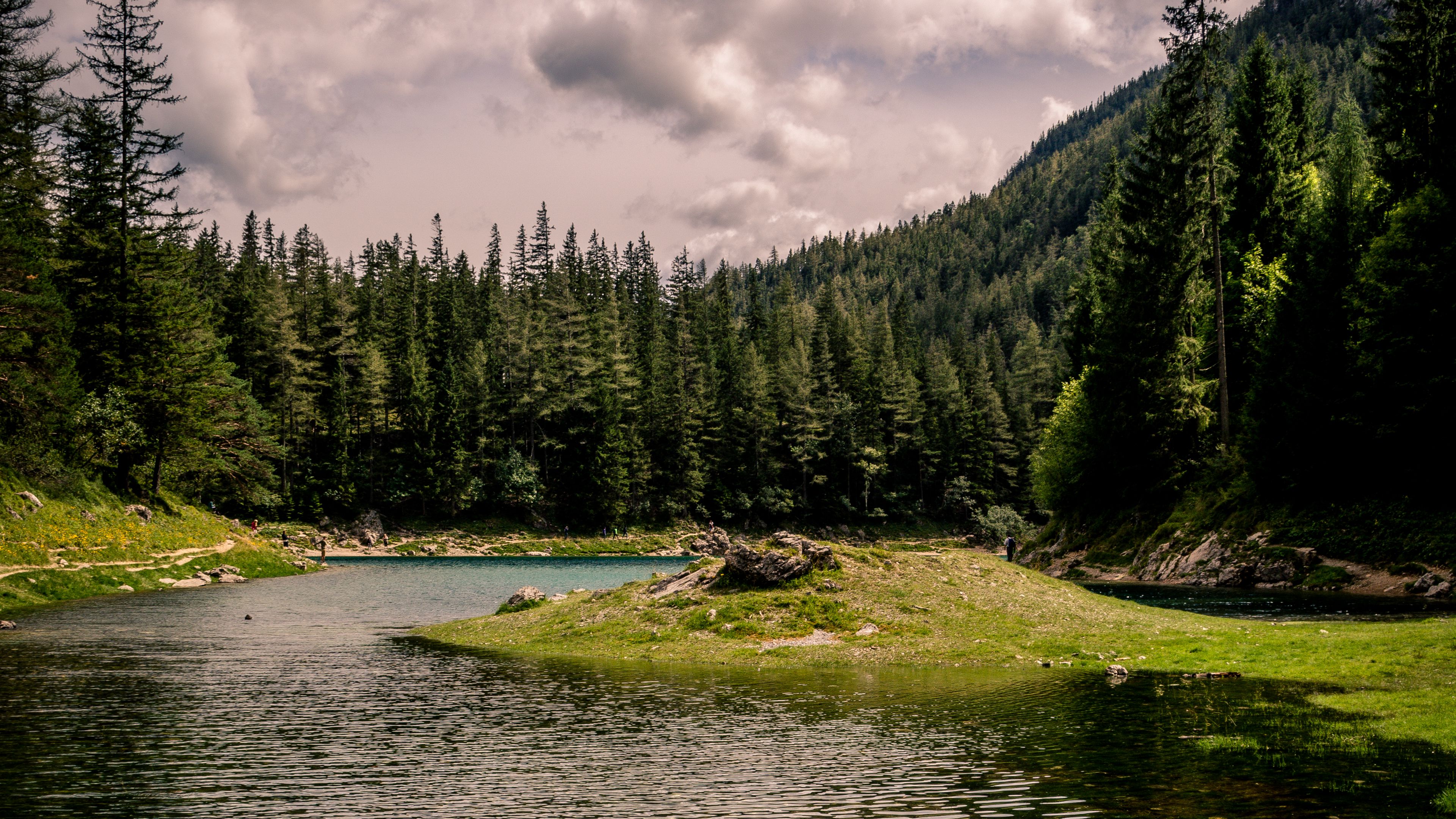 river, forest, trees, grass, 4k, HD Wallpaper
