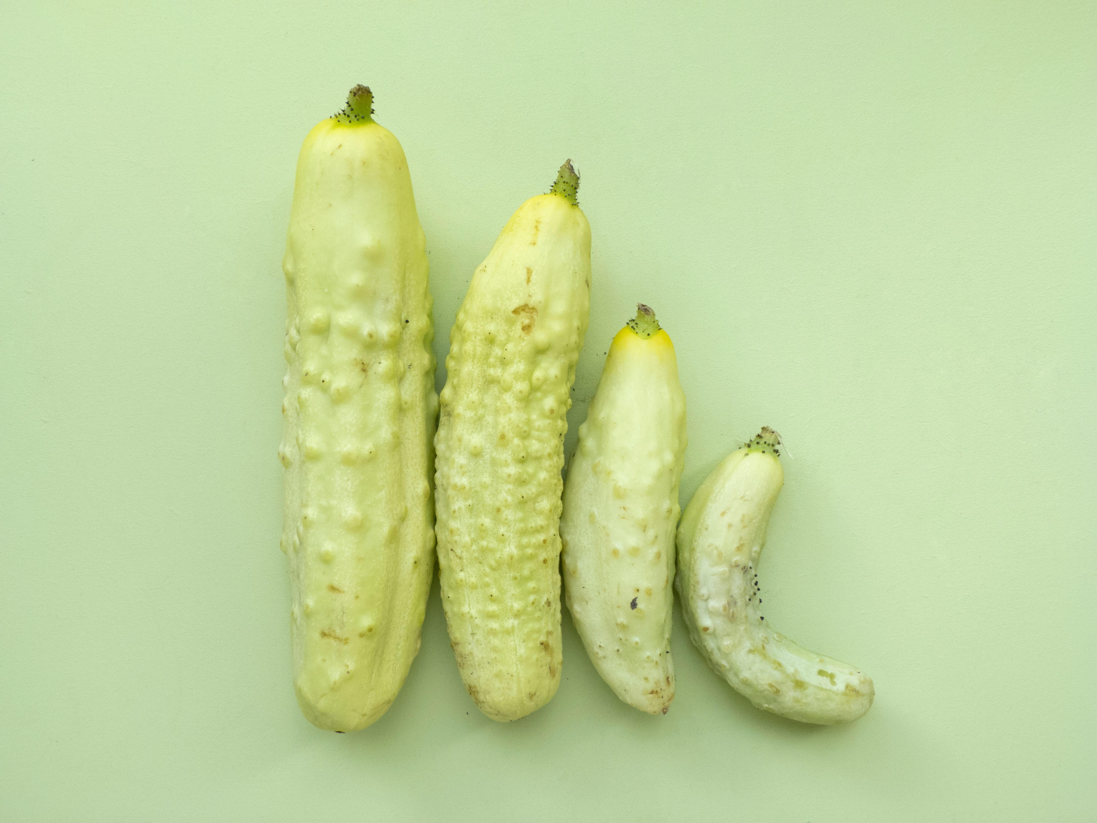 the gherkin quartet 4k, HD Wallpaper