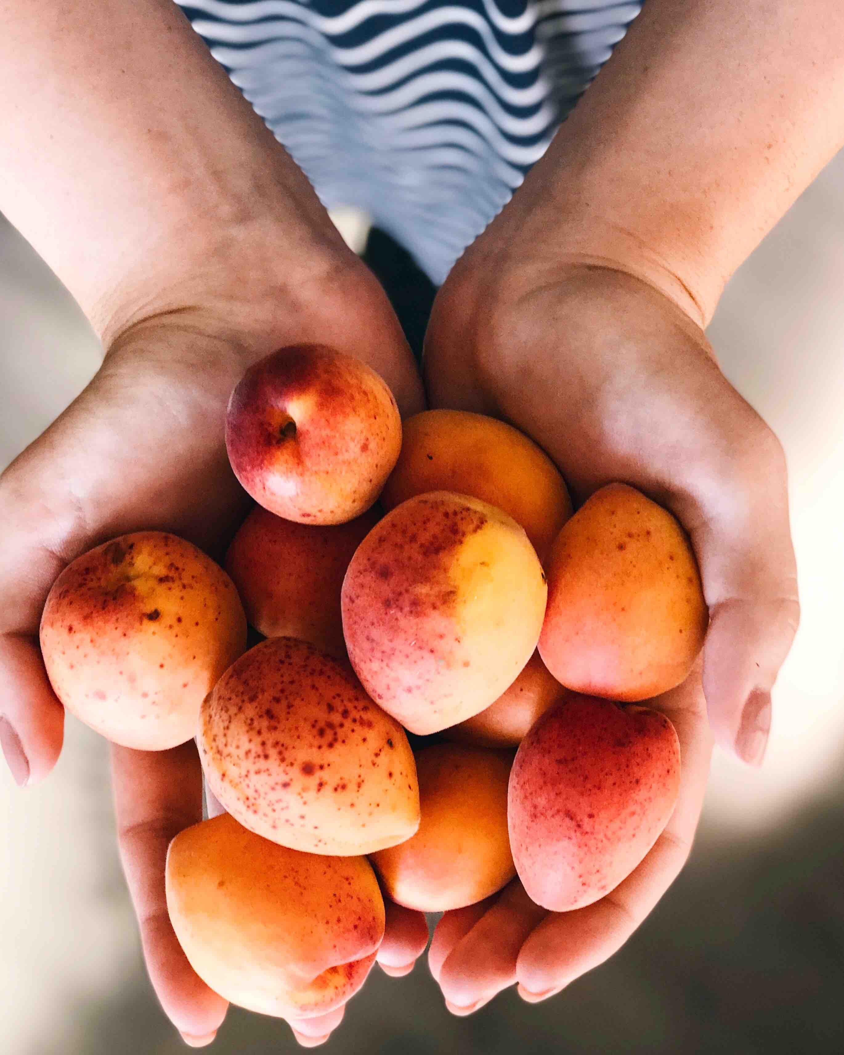 apricot summer fruit summer and fruit hd, 4k, Phone HD Wallpaper