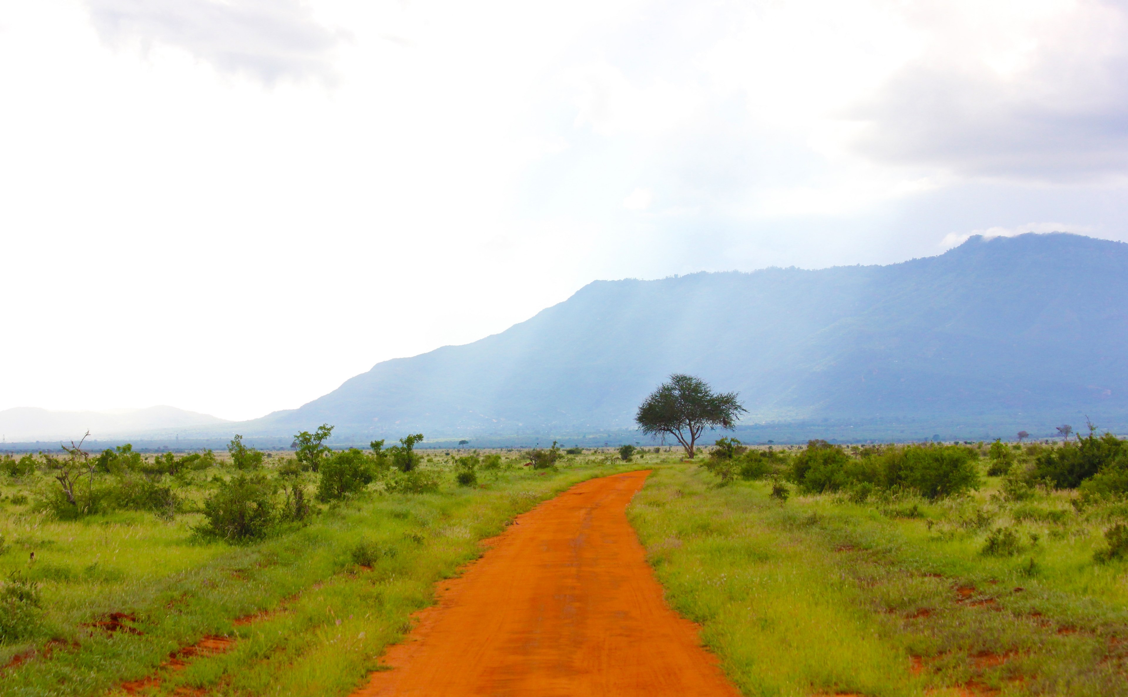 savannah road trail and mountain 4k, HD Wallpaper