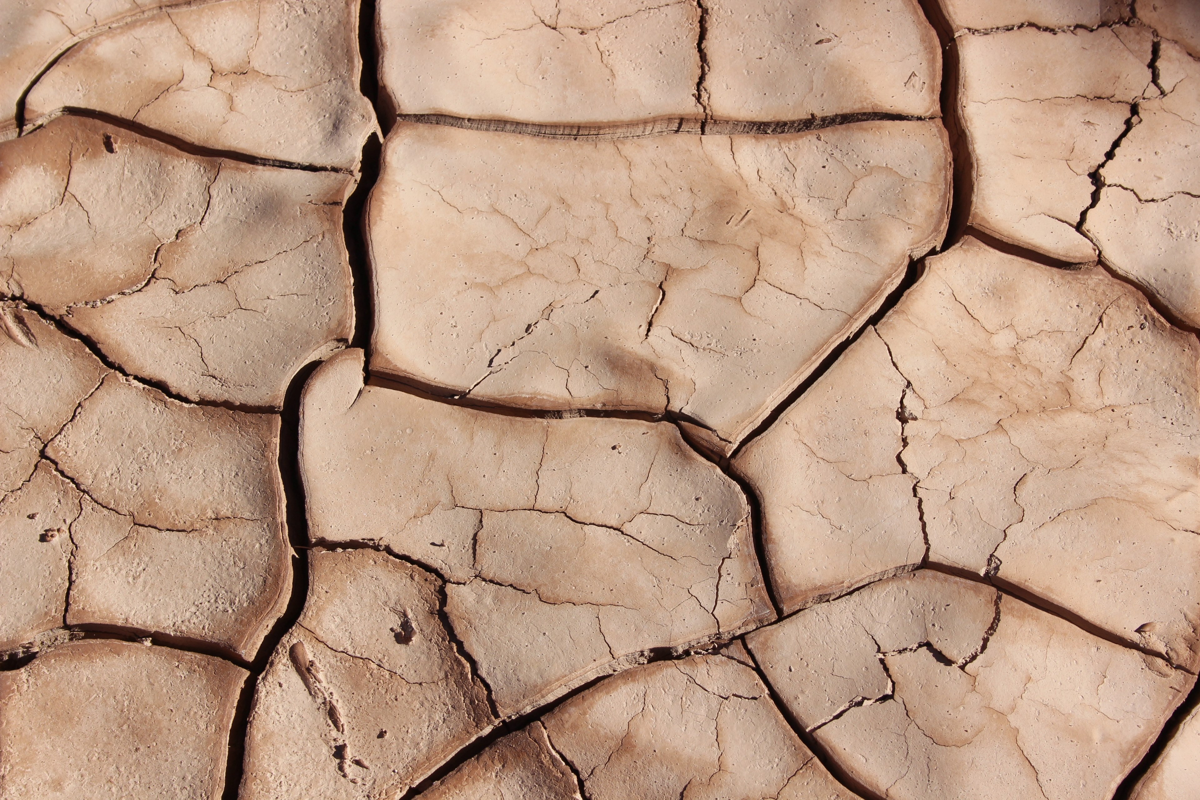 close up of cracks in dry dirt, cracks in the earth 4k, HD Wallpaper