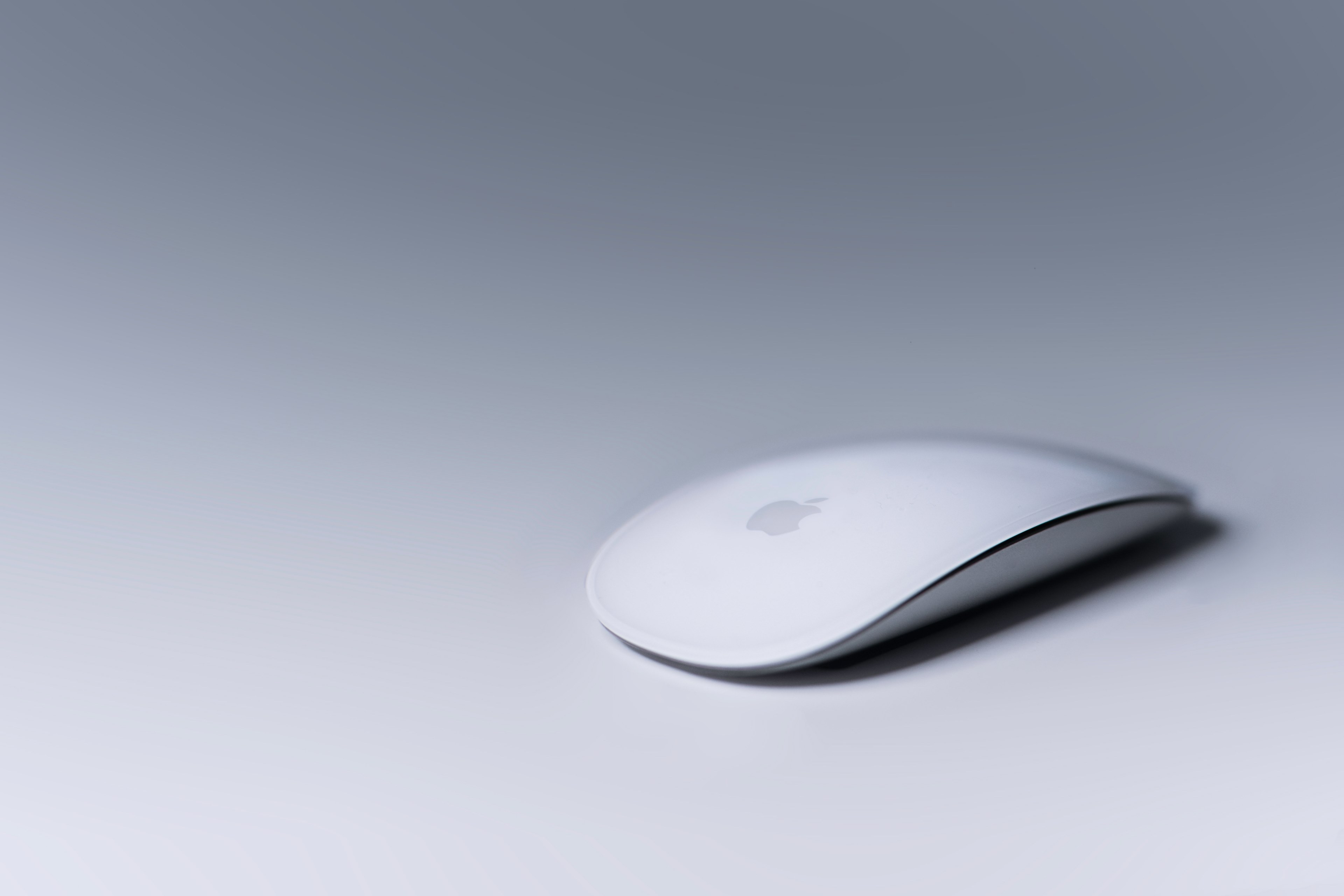 a white apple mouse, _the magic of the mouse 4k, HD Wallpaper