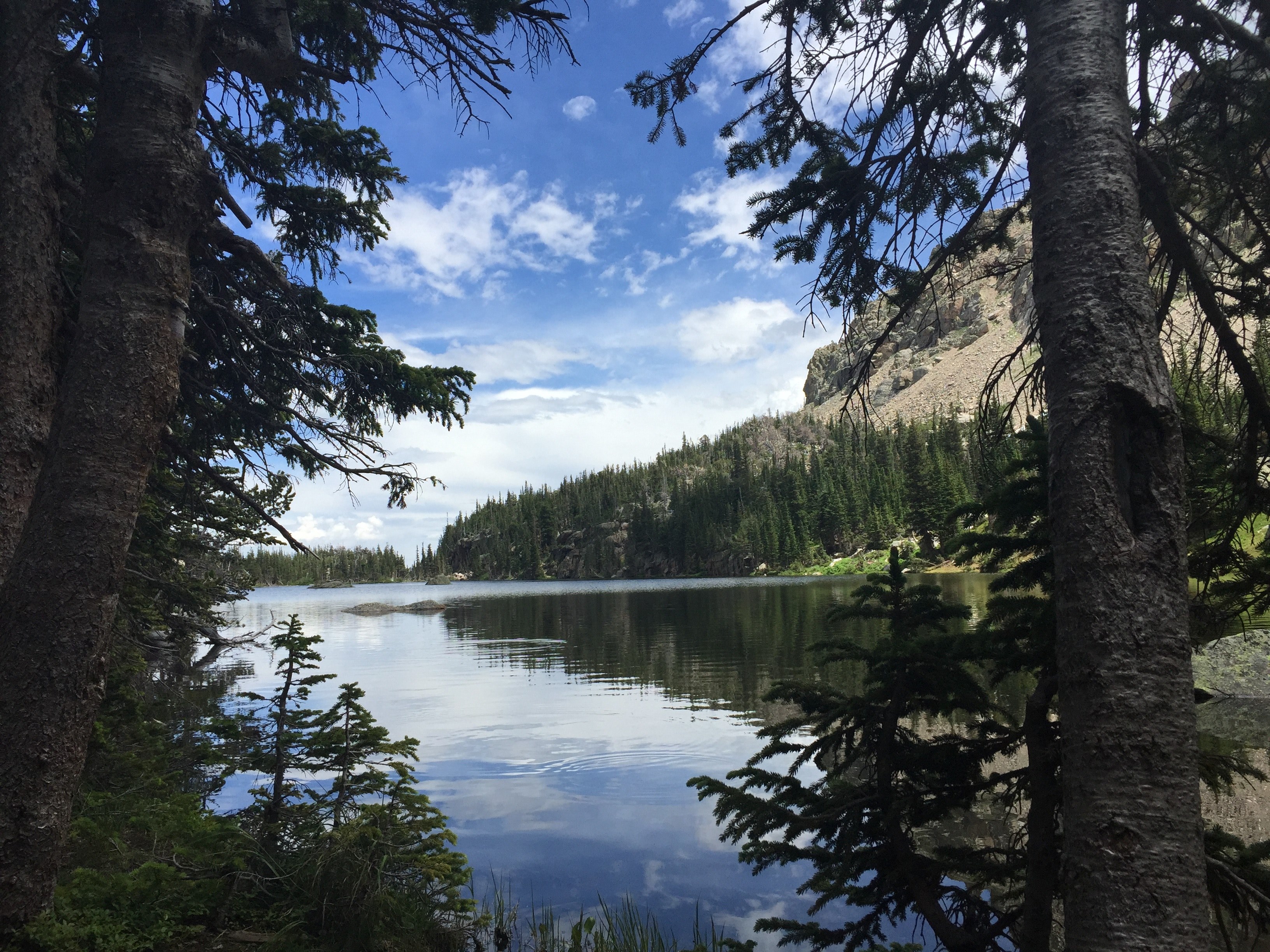 mountain tree hike and lake 4k, HD Wallpaper