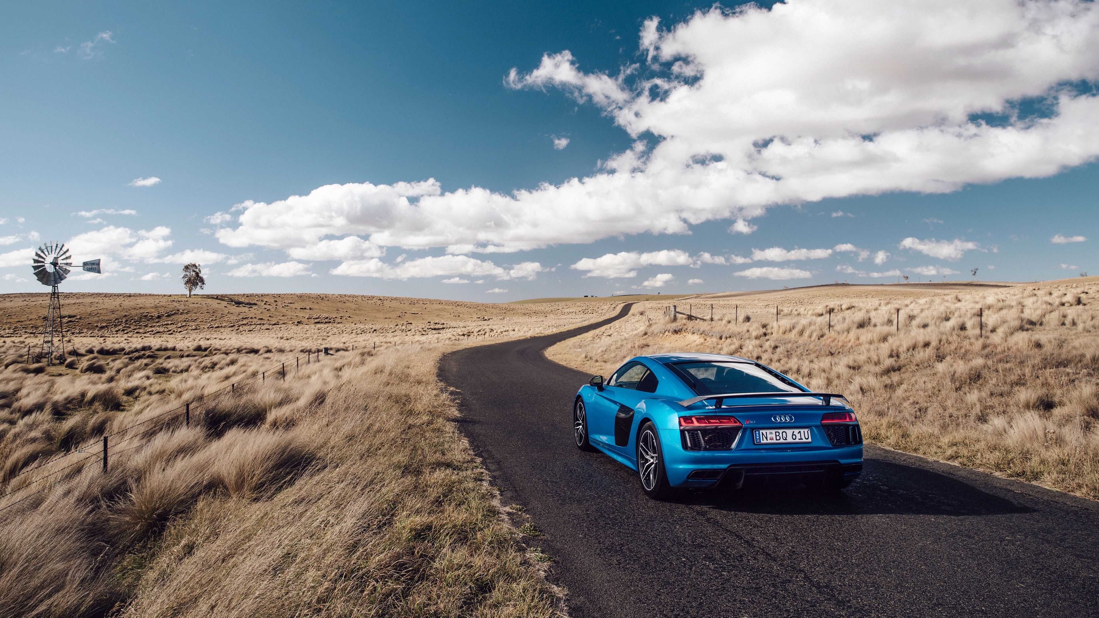audi, r8, v10, side view, blue, road, grass, 4k, HD Wallpaper