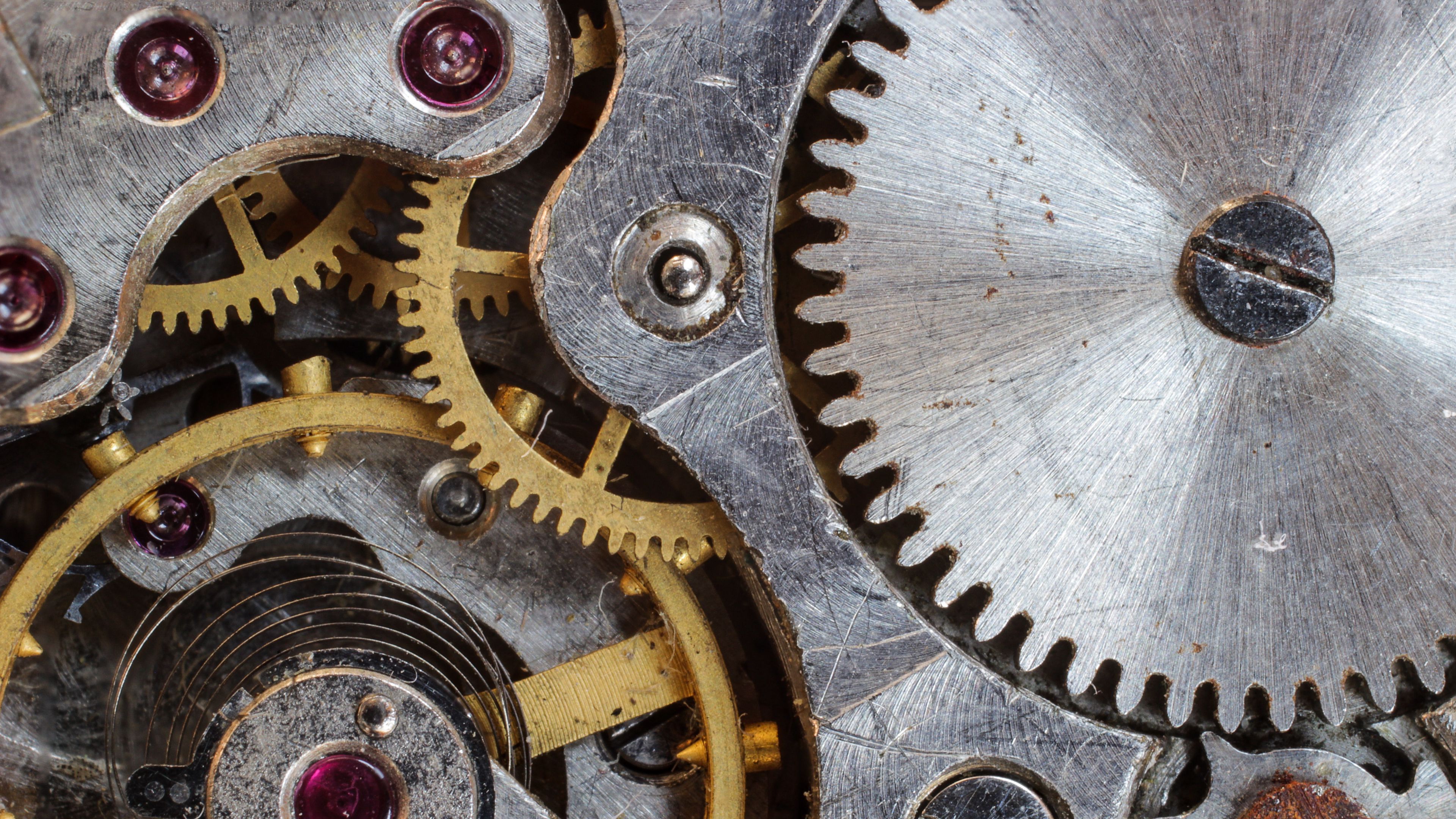 focus, gears, motor, gear, 4k, HD Wallpaper