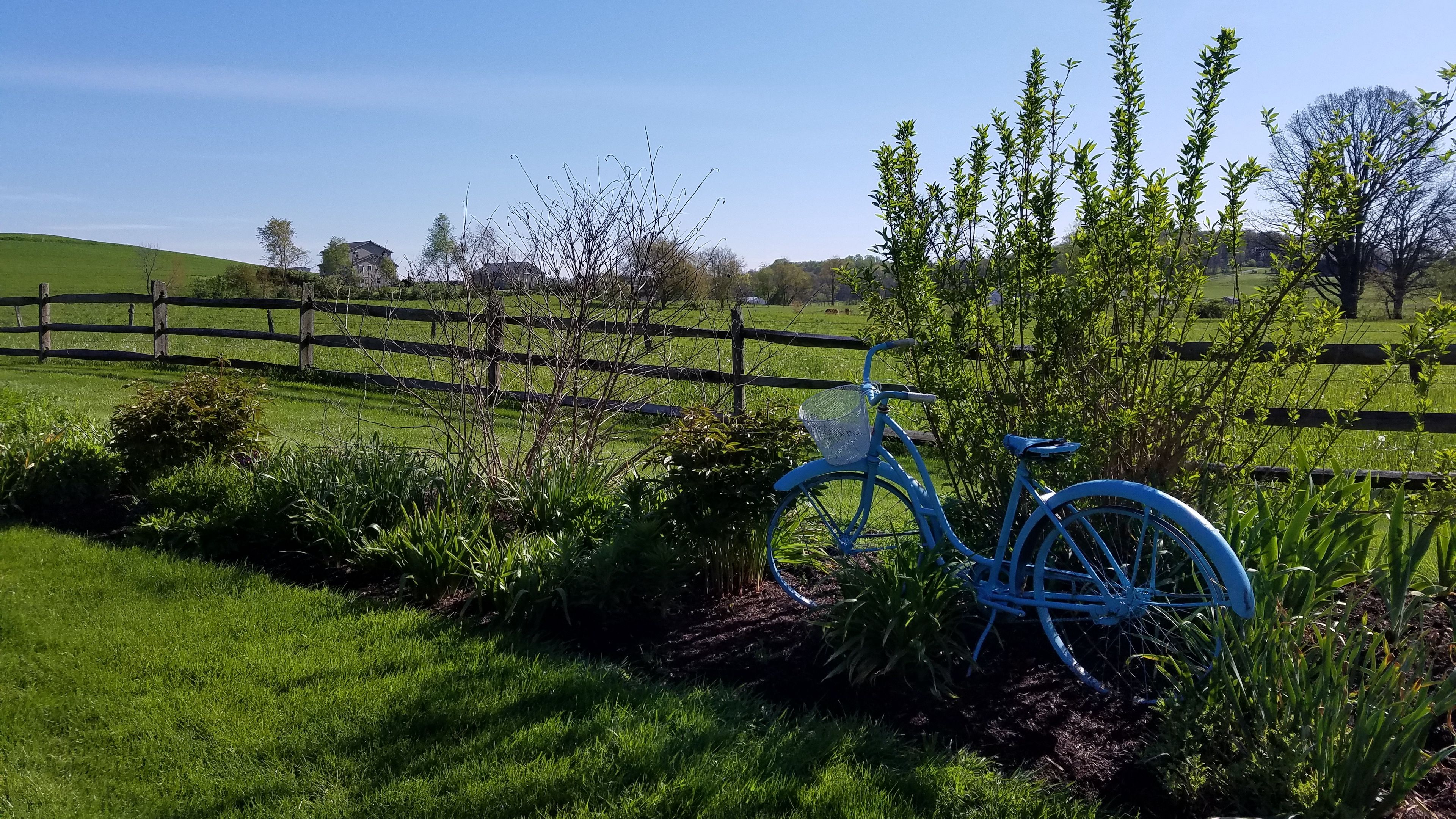 pasture, nature, meadow, grass, bike, 4k, HD Wallpaper