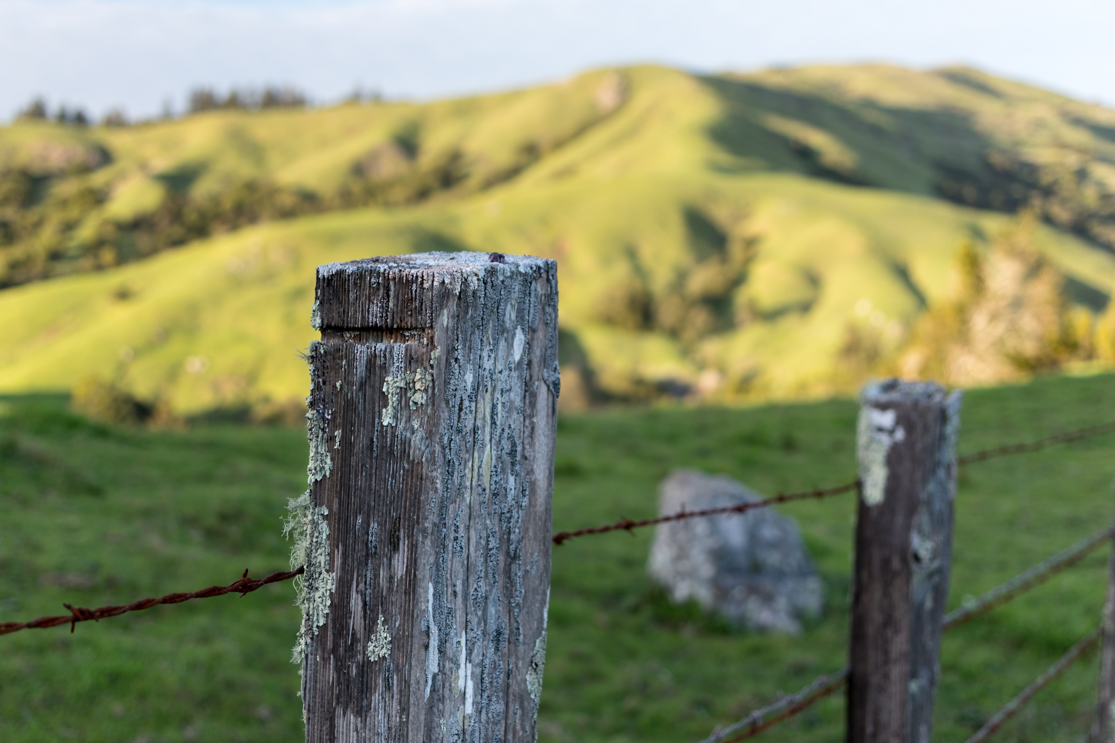 property line 4k, HD Wallpaper