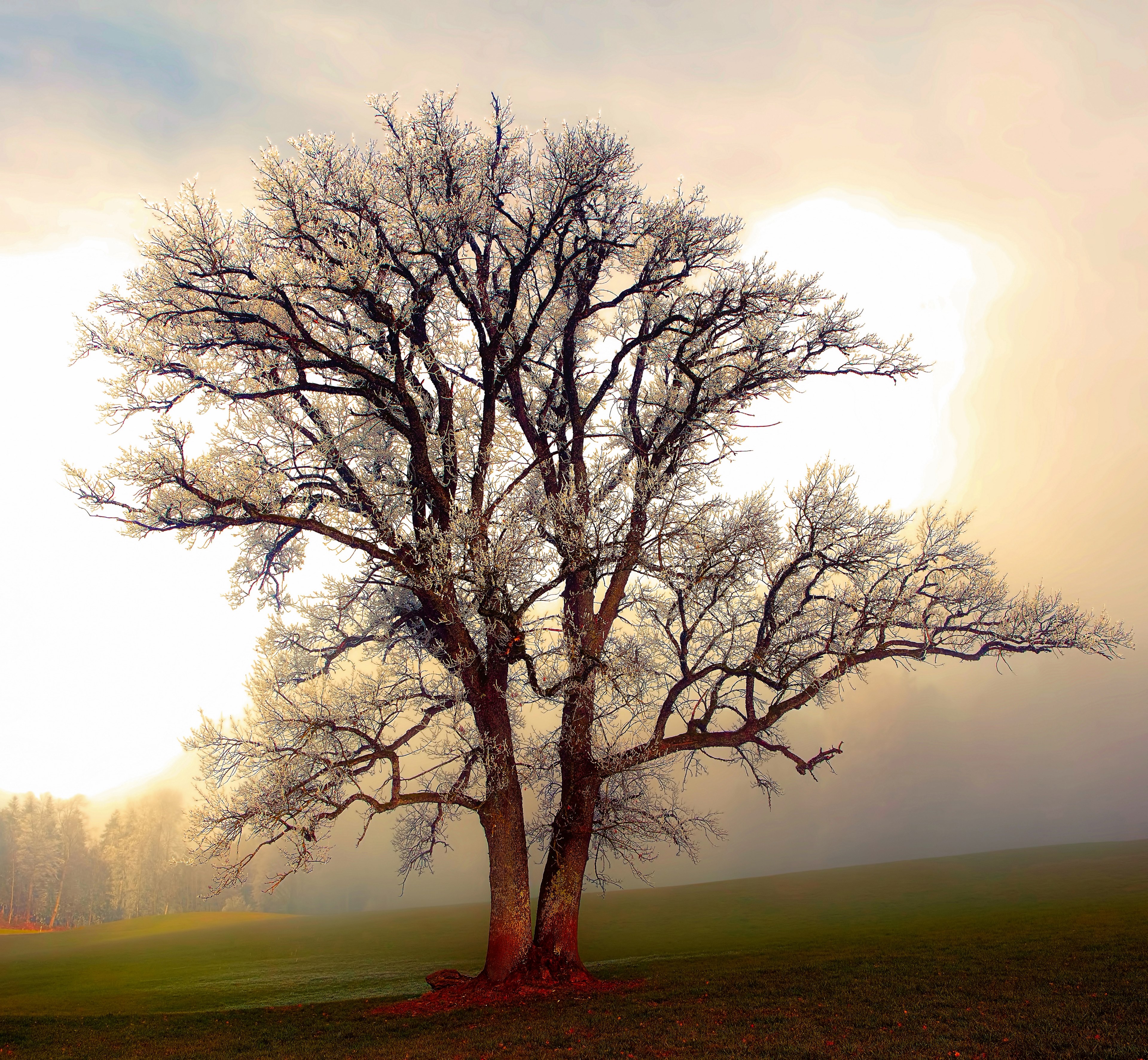 loneliness 4k, HD Wallpaper