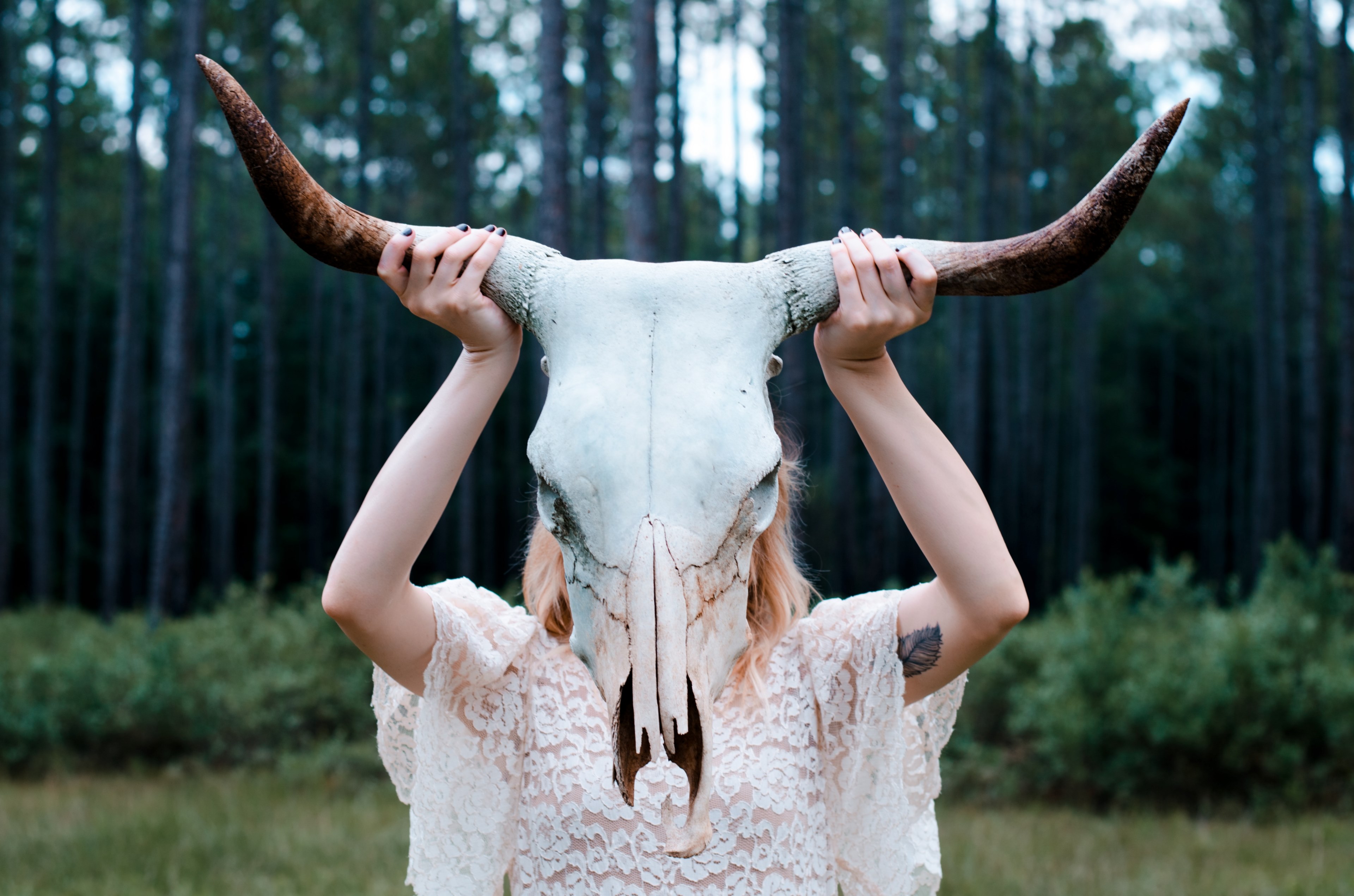 a woman in lace shirt holding up a bovine skull against a forest background, massive bovine skull 4k, HD Wallpaper