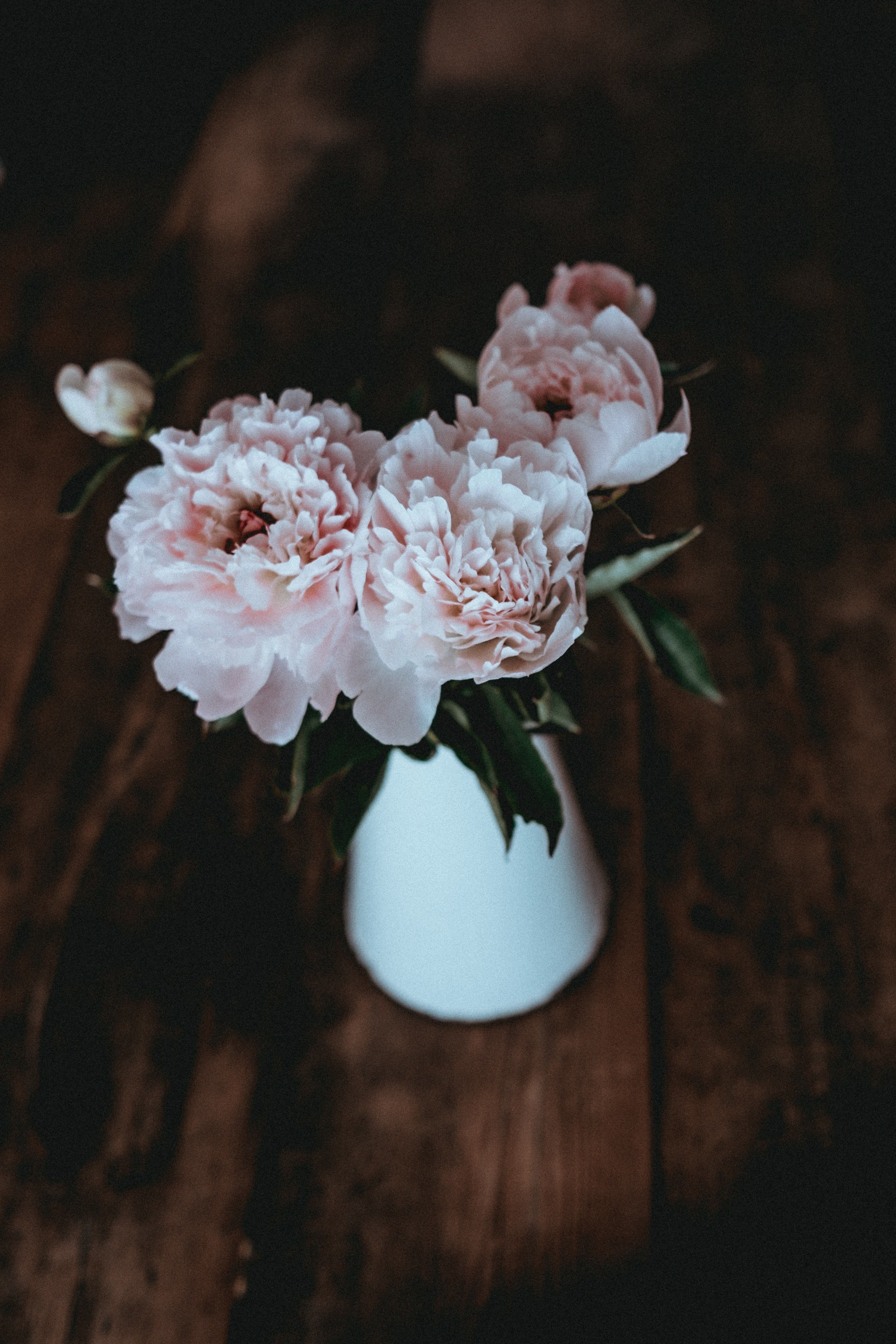 a white vase with pastel pink peonies, vase of peonies 4k, Phone HD Wallpaper