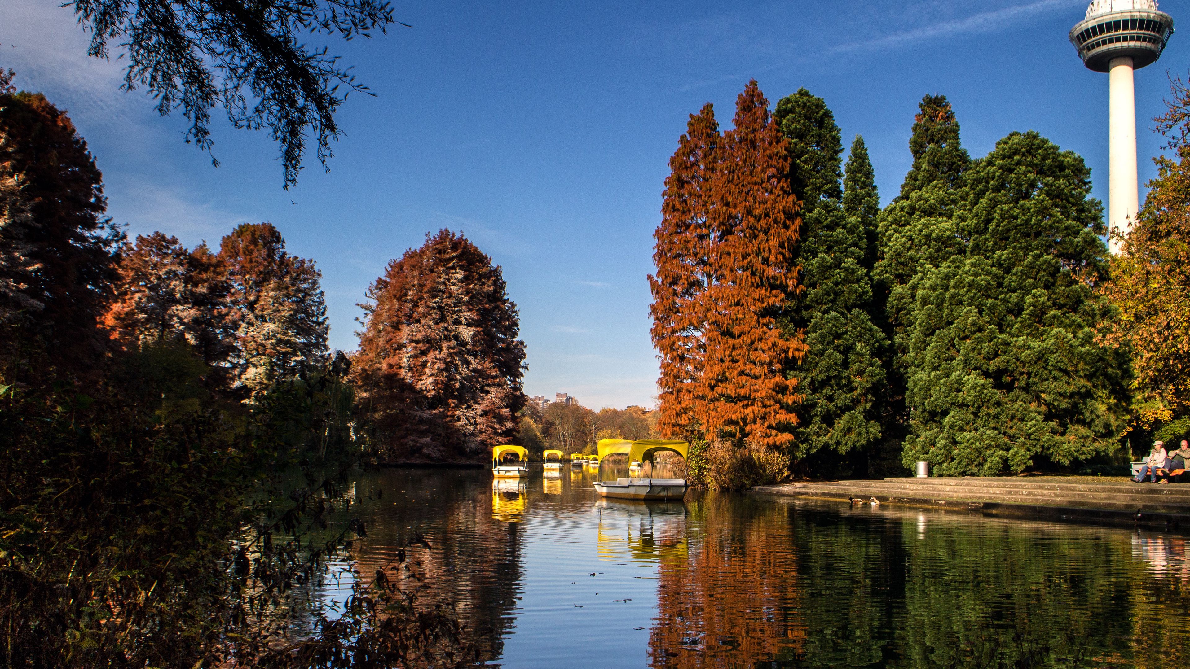park, lake, autumn, trees, reflection, 4k, HD Wallpaper