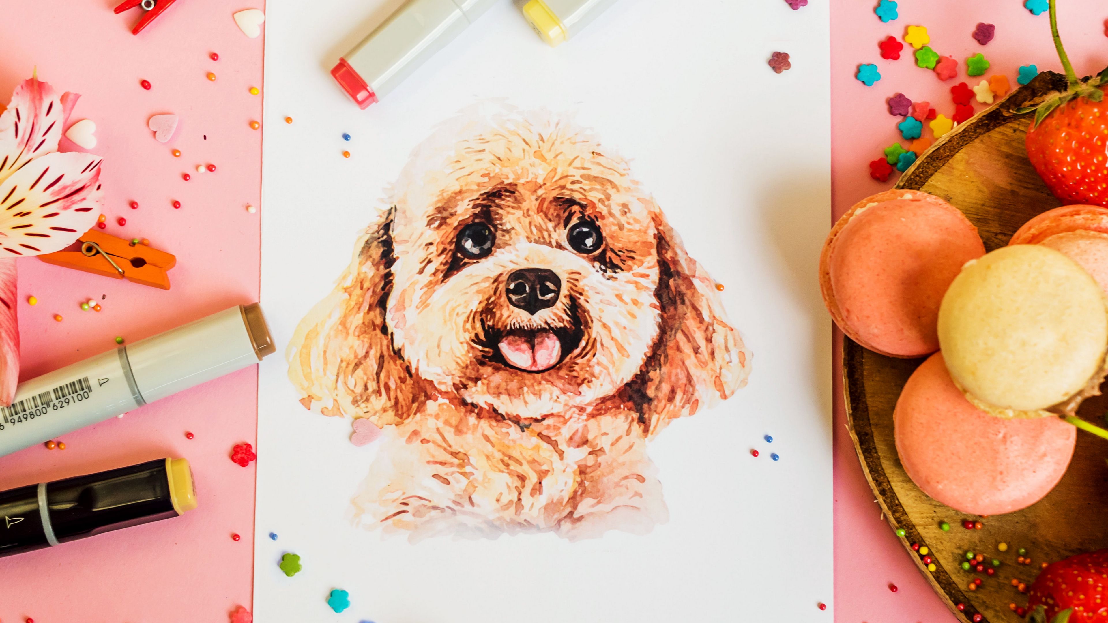 drawing, dog, confetti, 4k, HD Wallpaper