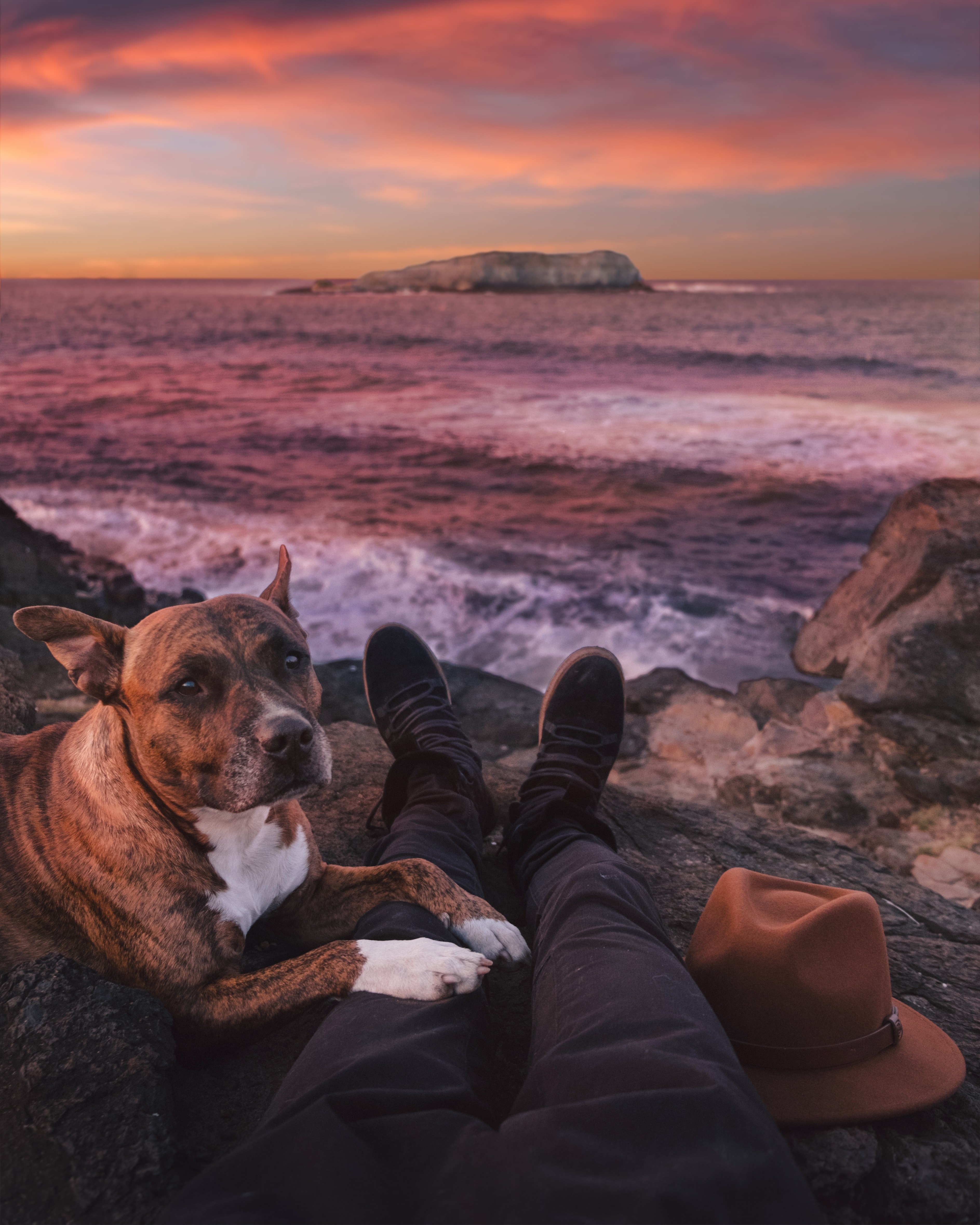 a dog sat on the legs of its owner with the waves lapping against the rocks and the sun setting in the distance gold coast, dog and owner watching the coastal sunset 4k, Phone HD Wallpaper