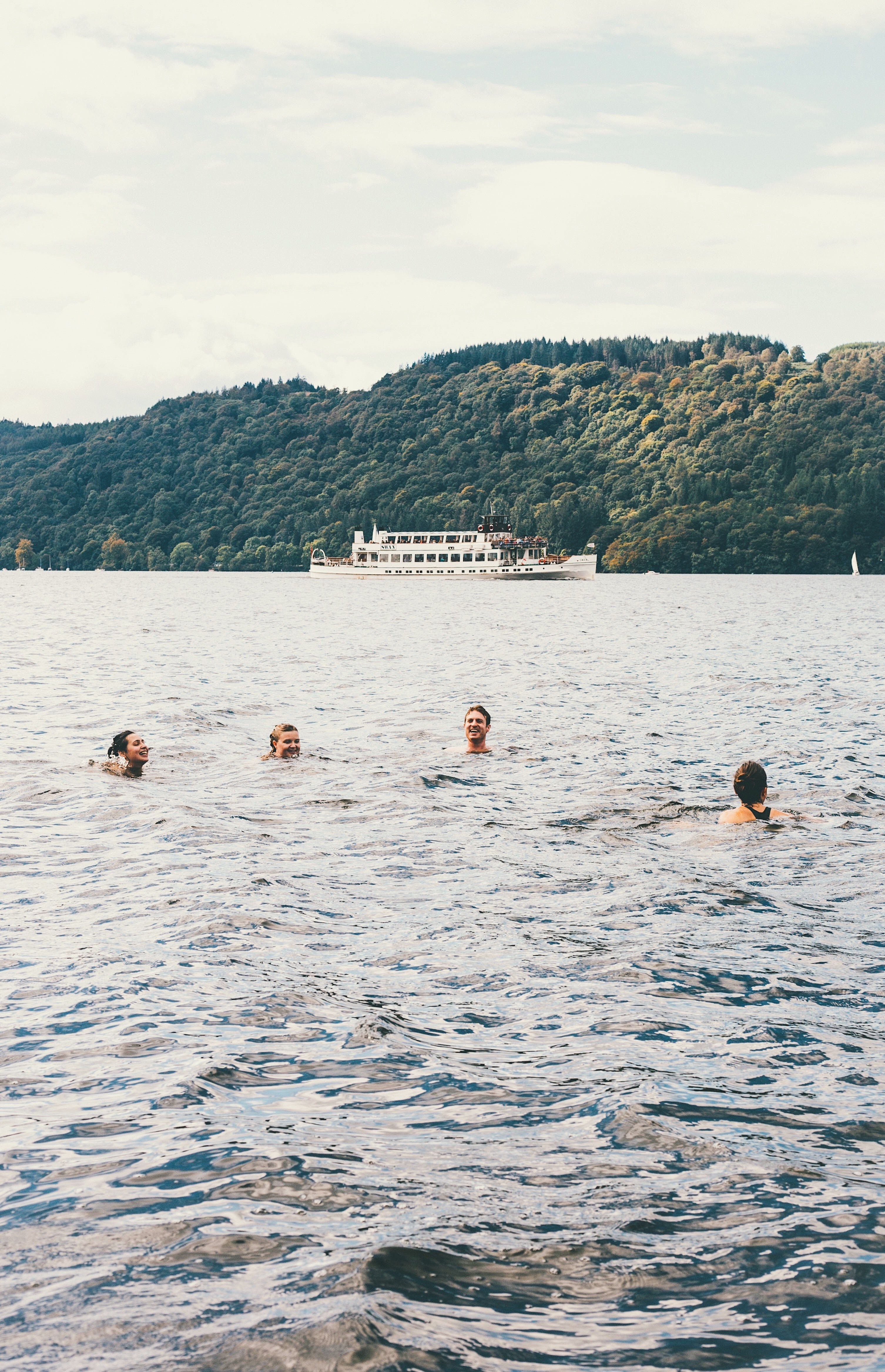 friendship wild swimming swimming and in water hd, 4k, Phone HD Wallpaper