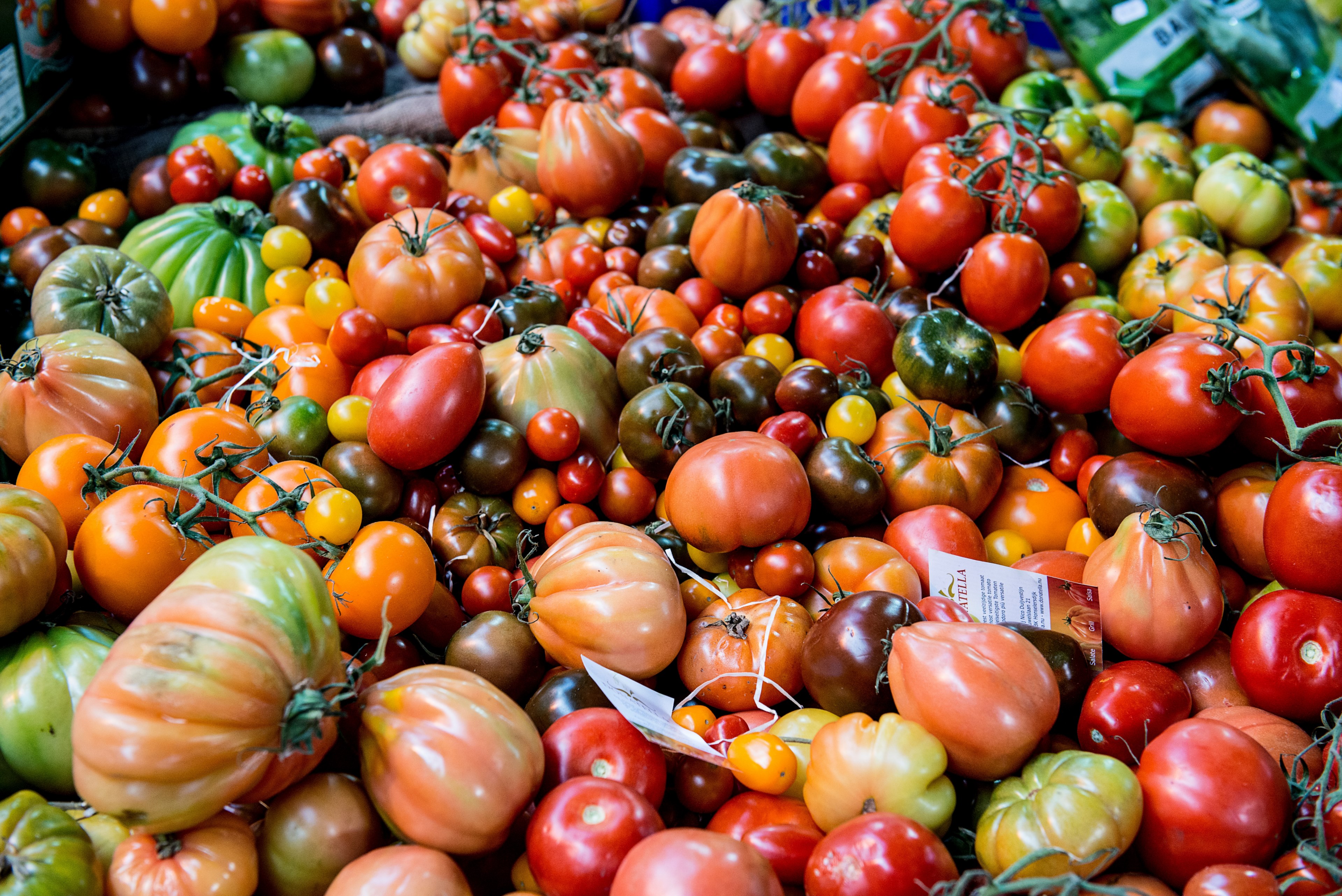 ingredient vitamin vegetable and tomato 4k, HD Wallpaper