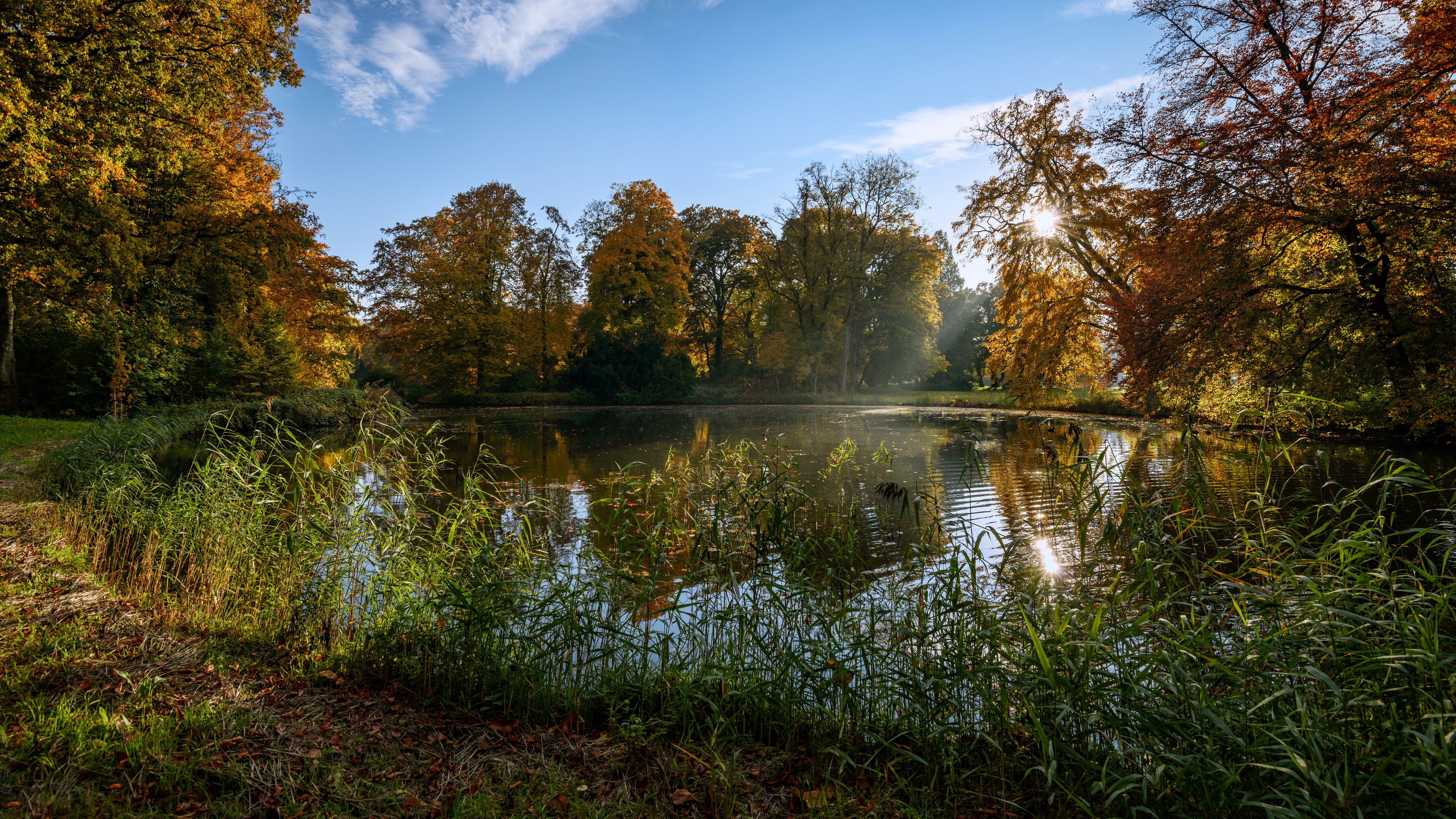 netherlands, de haar castle park, pond, trees, summer, 4k, HD Wallpaper